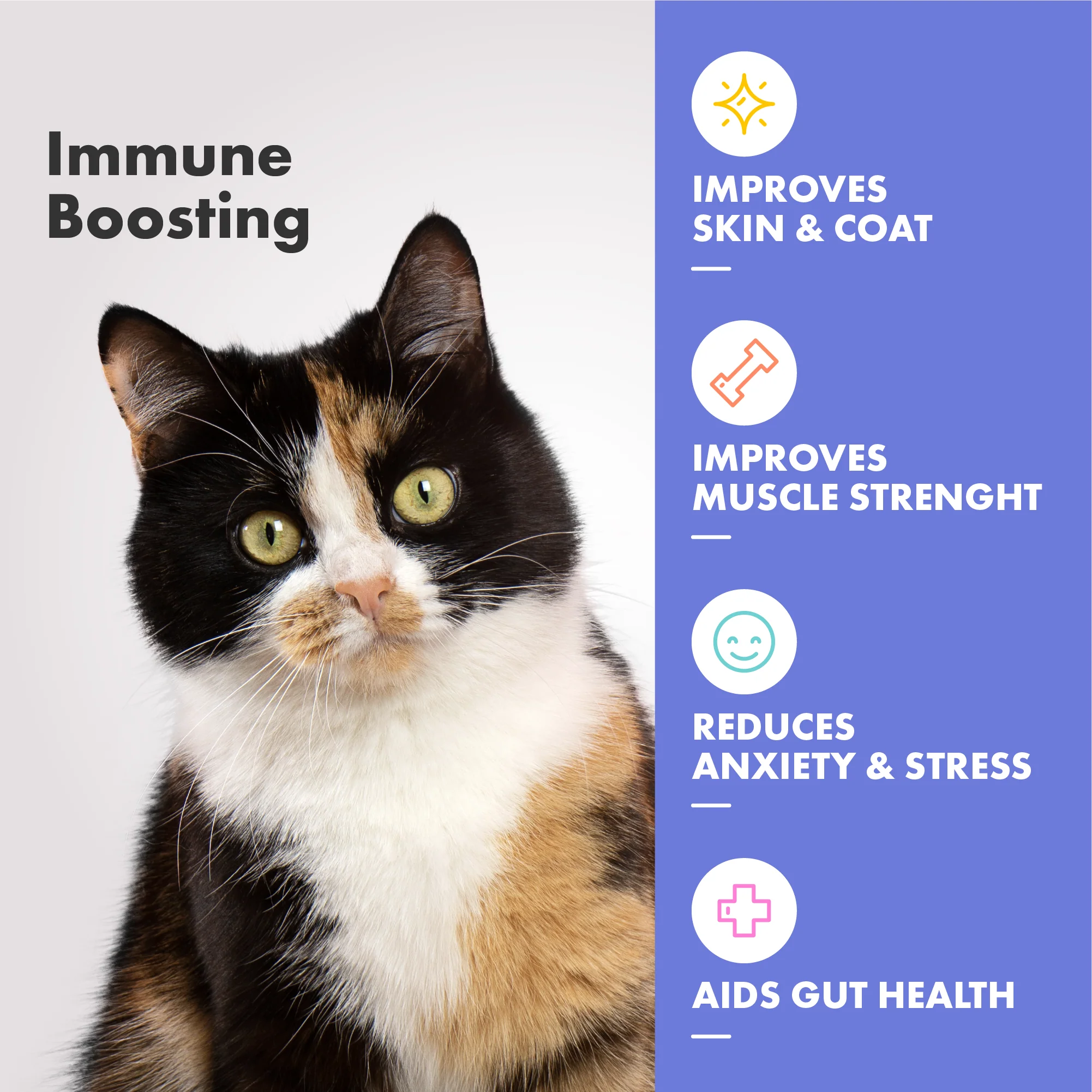 DotDotPet Multifit Multivitamins Cat Supplements - Image 4