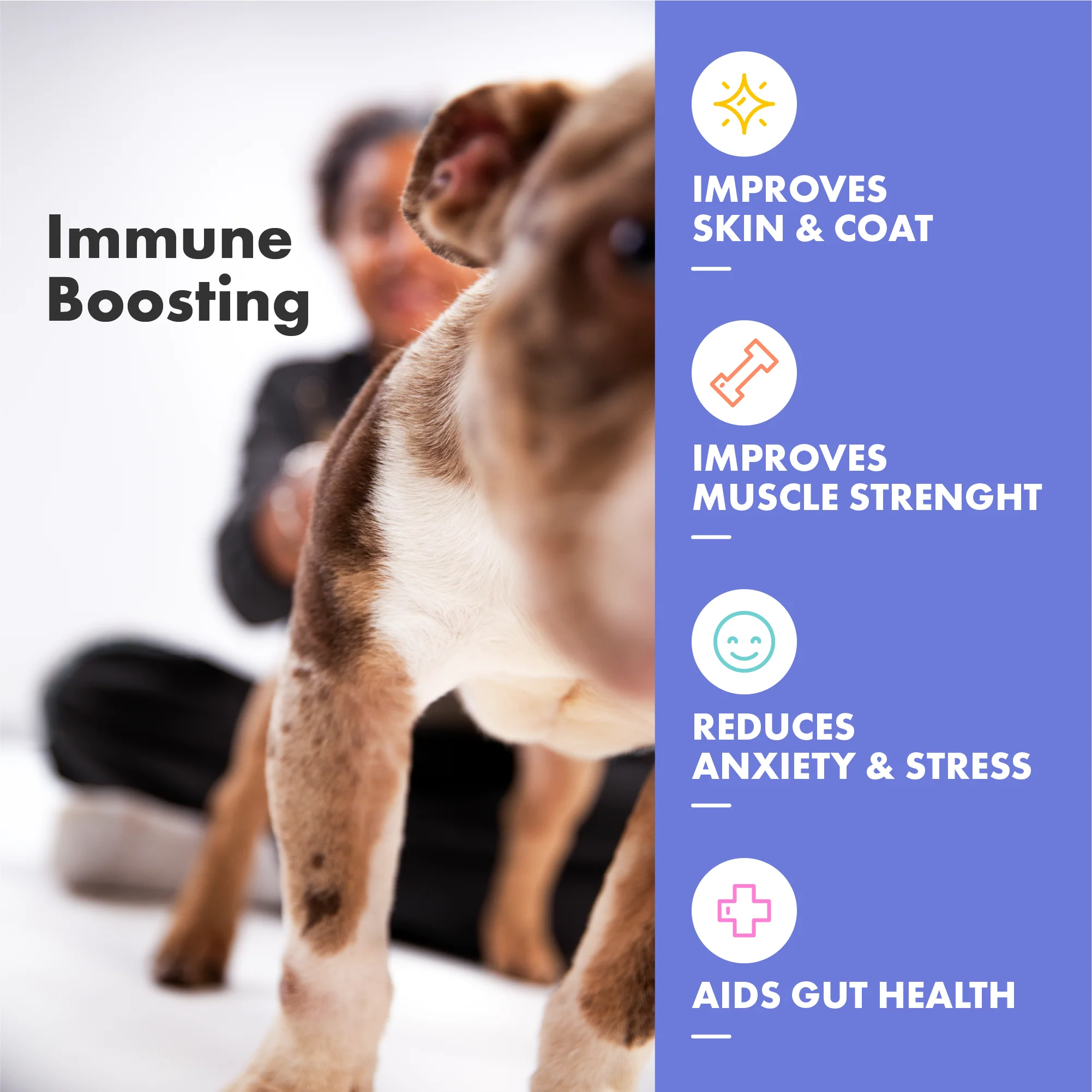 DotDotPet Multifit Multivitamins Dog Gummies - Image 4