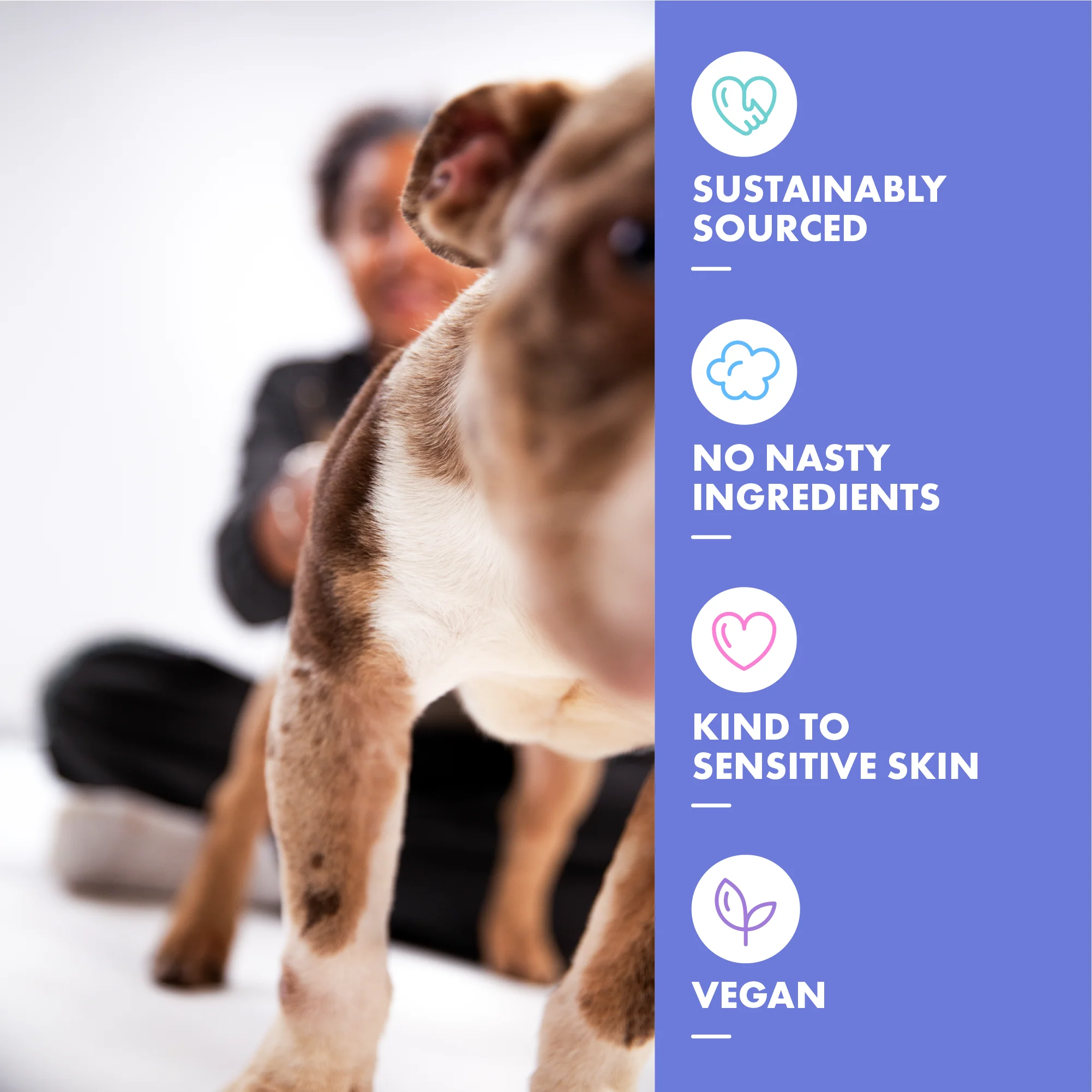 DotDotPet Short Coat Conditioning Dog Shampoo - Image 3