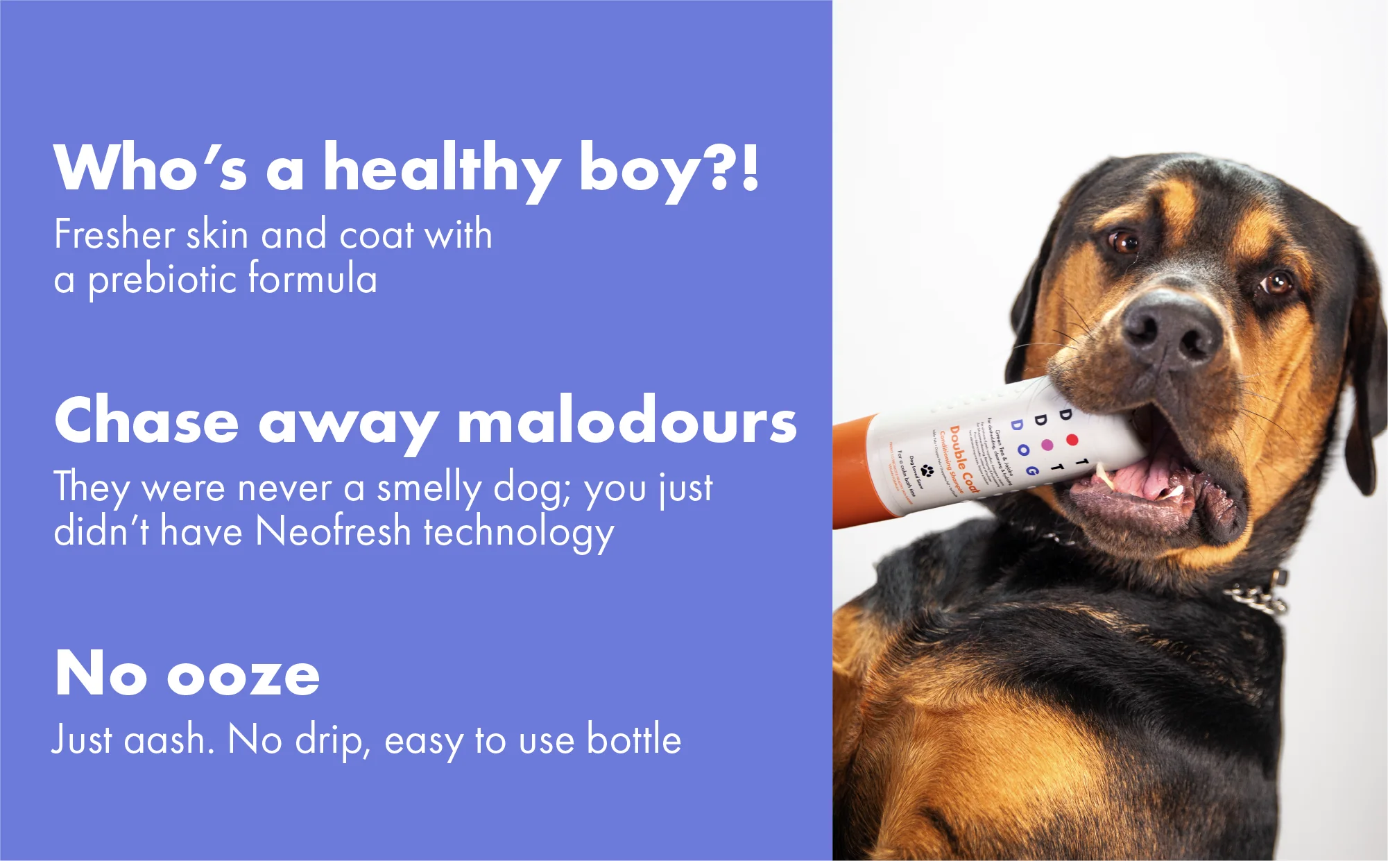 DotDotPet Short Coat Conditioning Dog Shampoo - Image 4
