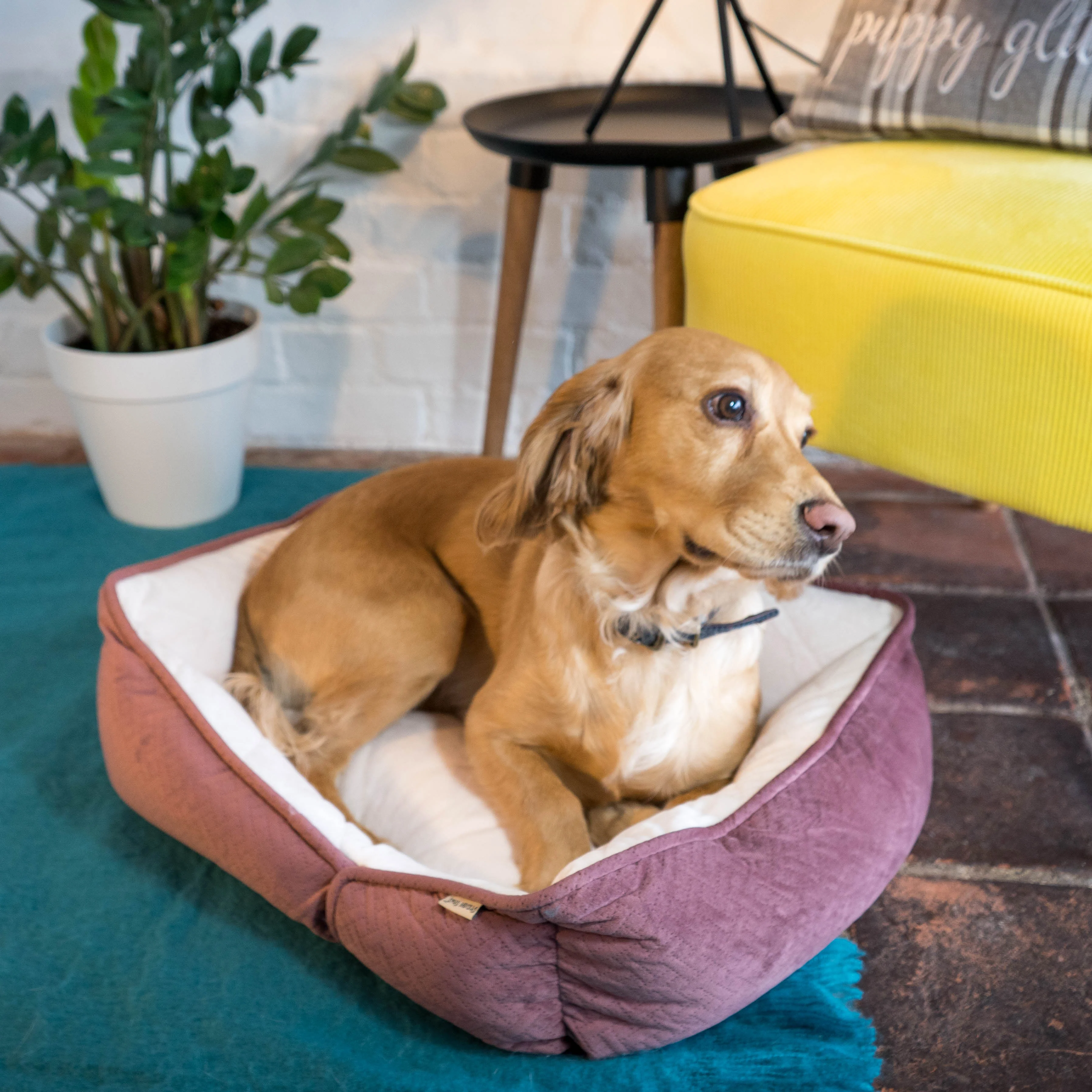 Dream Paws Coral Pink Geometric Shape Dog Sofa Bed - Image 2
