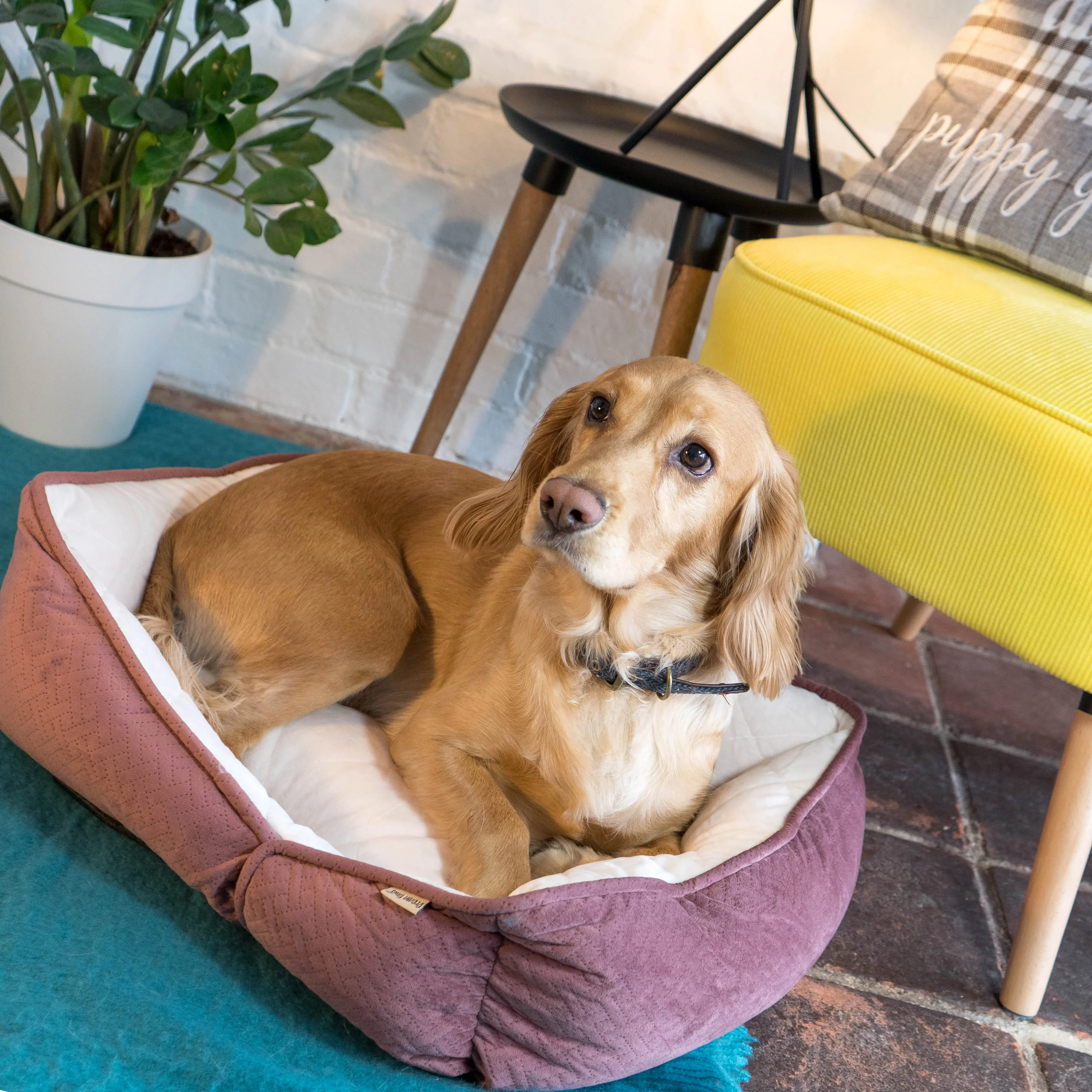Dream Paws Coral Pink Geometric Shape Dog Sofa Bed - Image 3