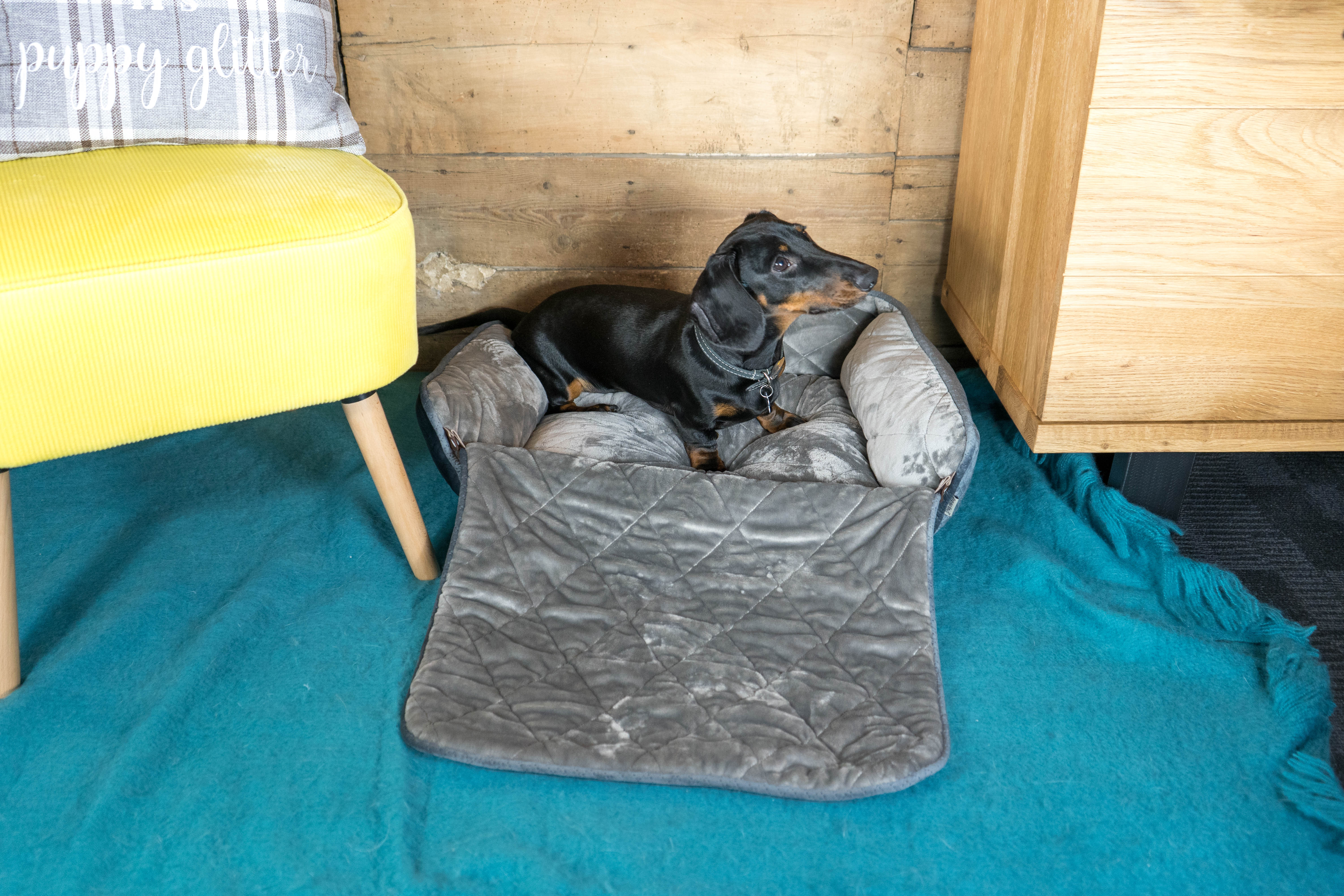 Dream Paws Dog Sofa Bed - Image 2