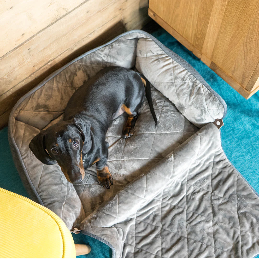 Dream Paws Dog Sofa Bed - Image 4