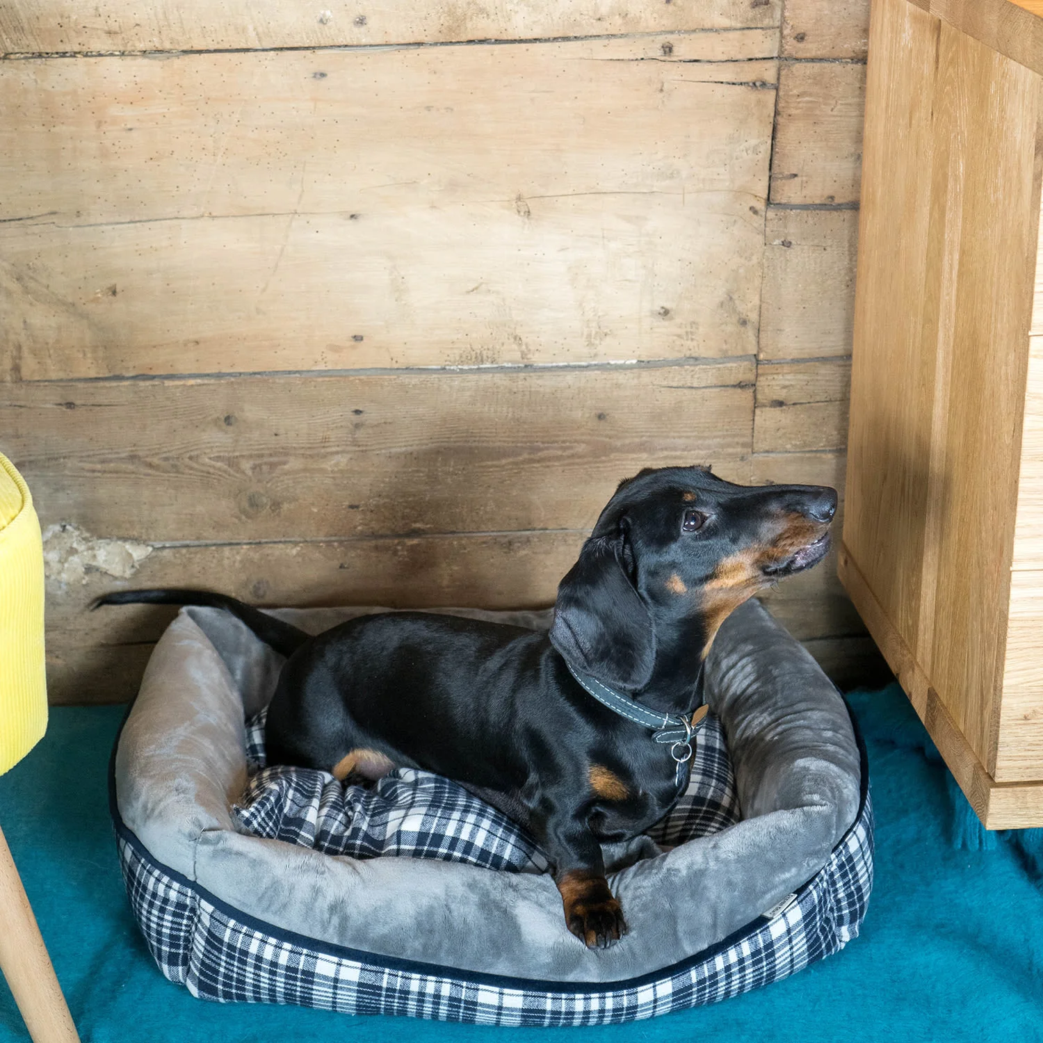 Dream Paws Grey Checked Dog Sofa Bed - Image 4