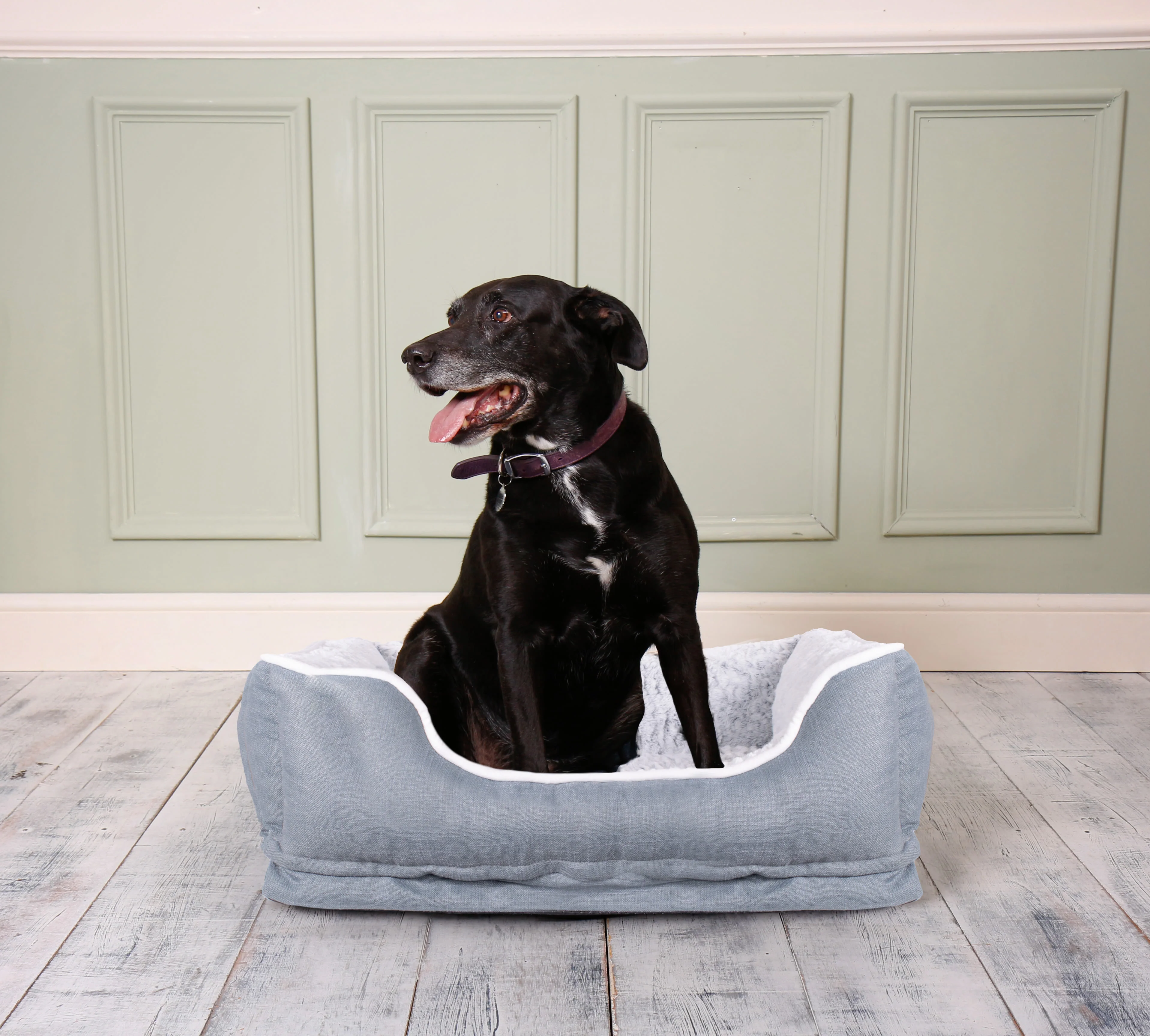 Dream Paws Grey Cosy Dog Sofa Bed - Image 2