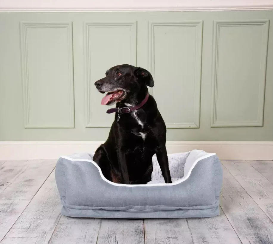 Dream Paws Pet Sofa Bed - Image 2