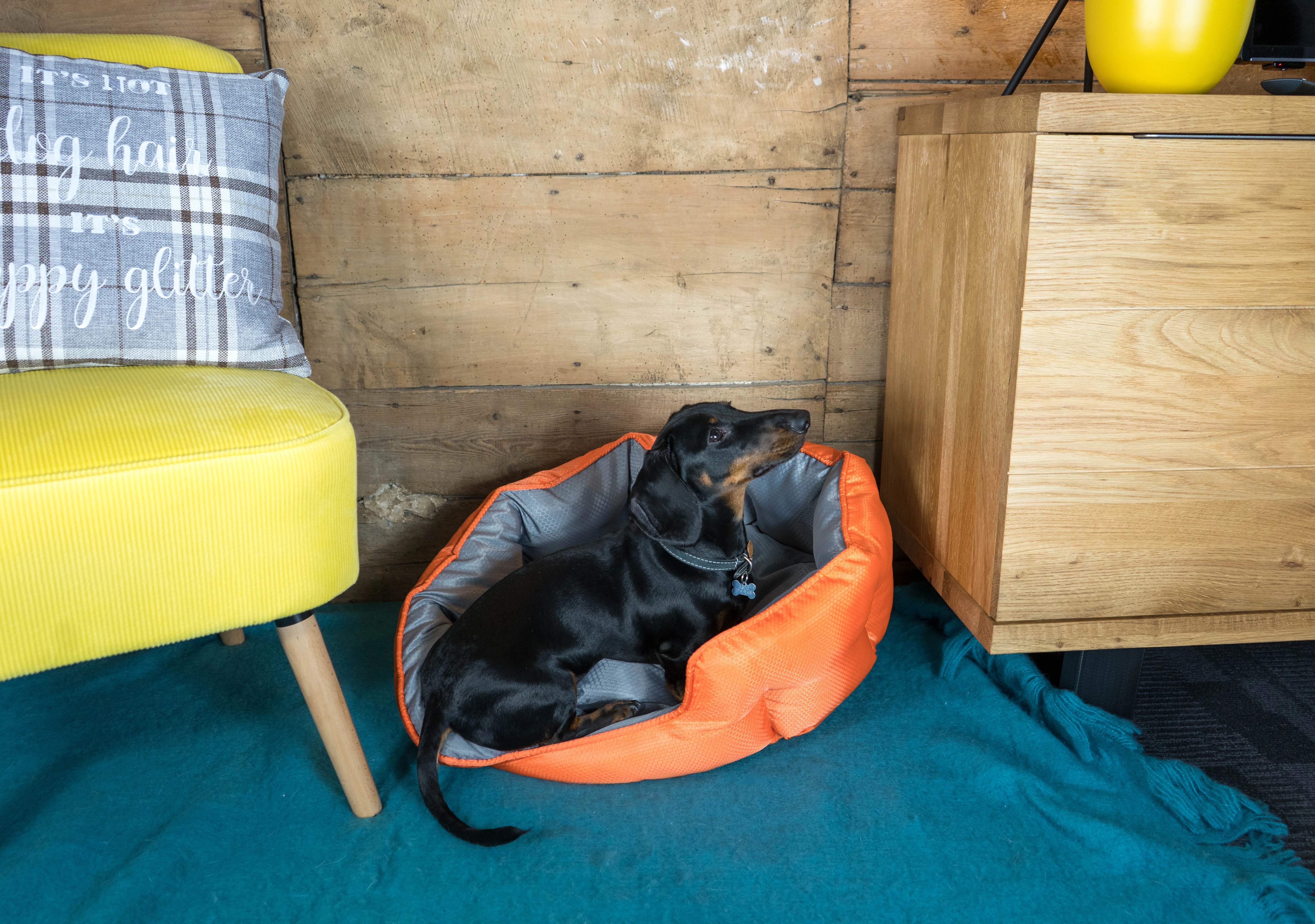 Dream Paws Reversible Water Resistant Grey Dog Travel Bed - Image 4