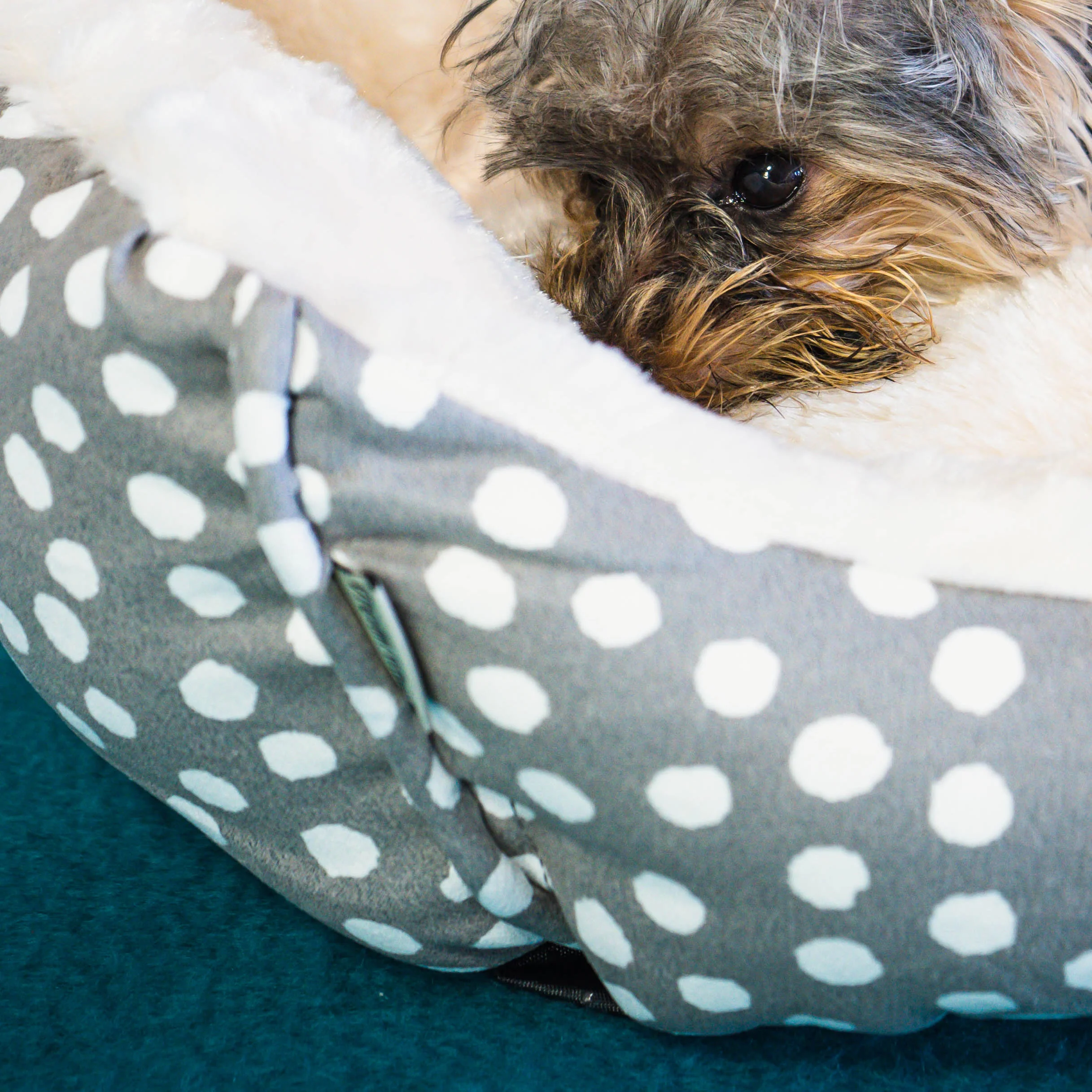 Dream Paws Scalloped Grey Dog Bed - Image 4