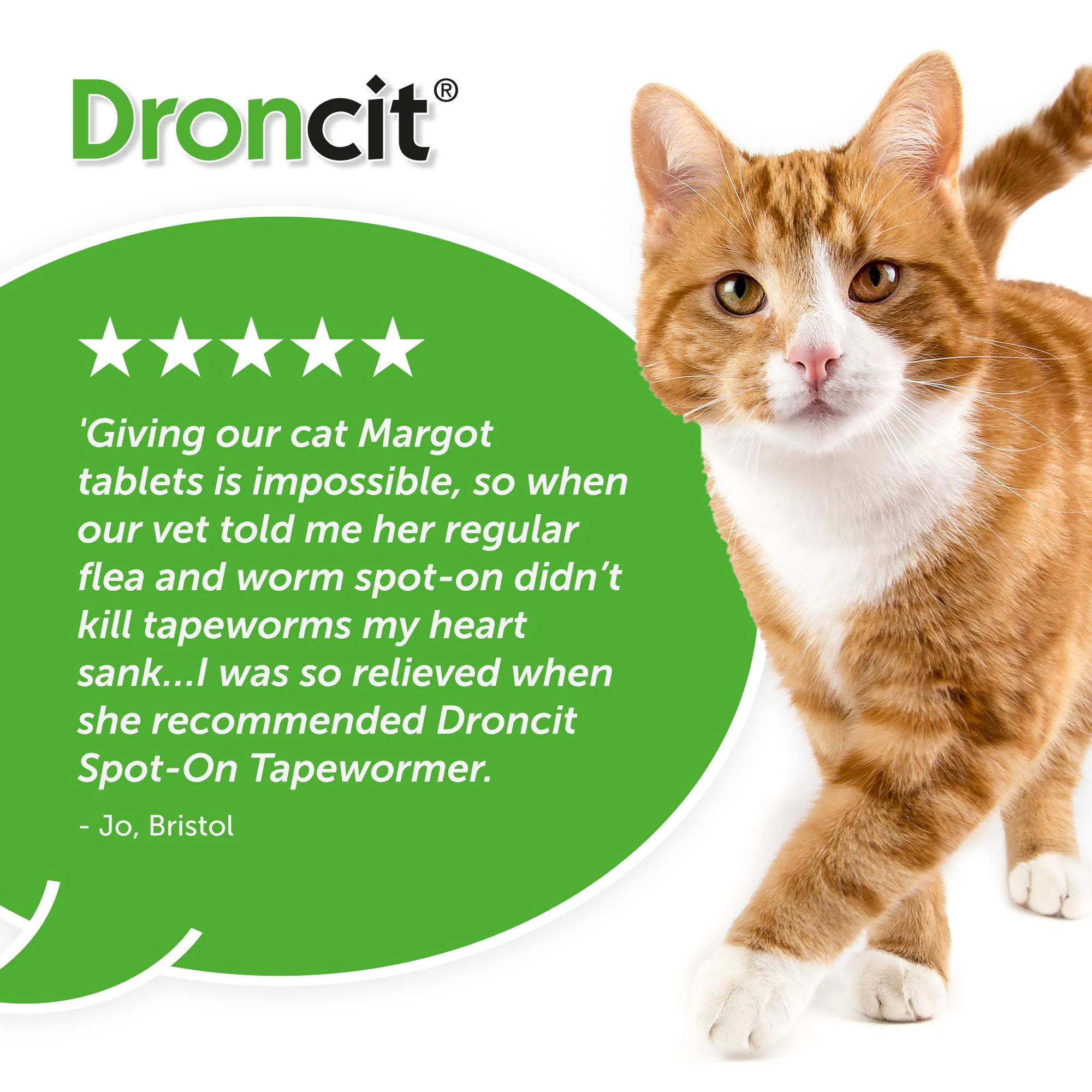 Droncit Spot On for Cats - Image 6