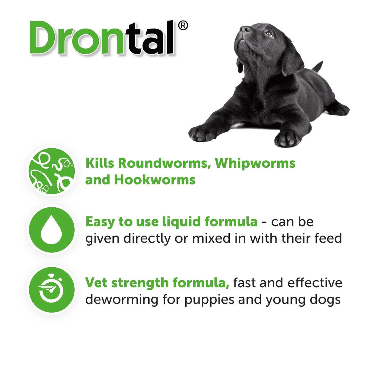 Drontal Puppies Oral Worming Suspension - Image 5