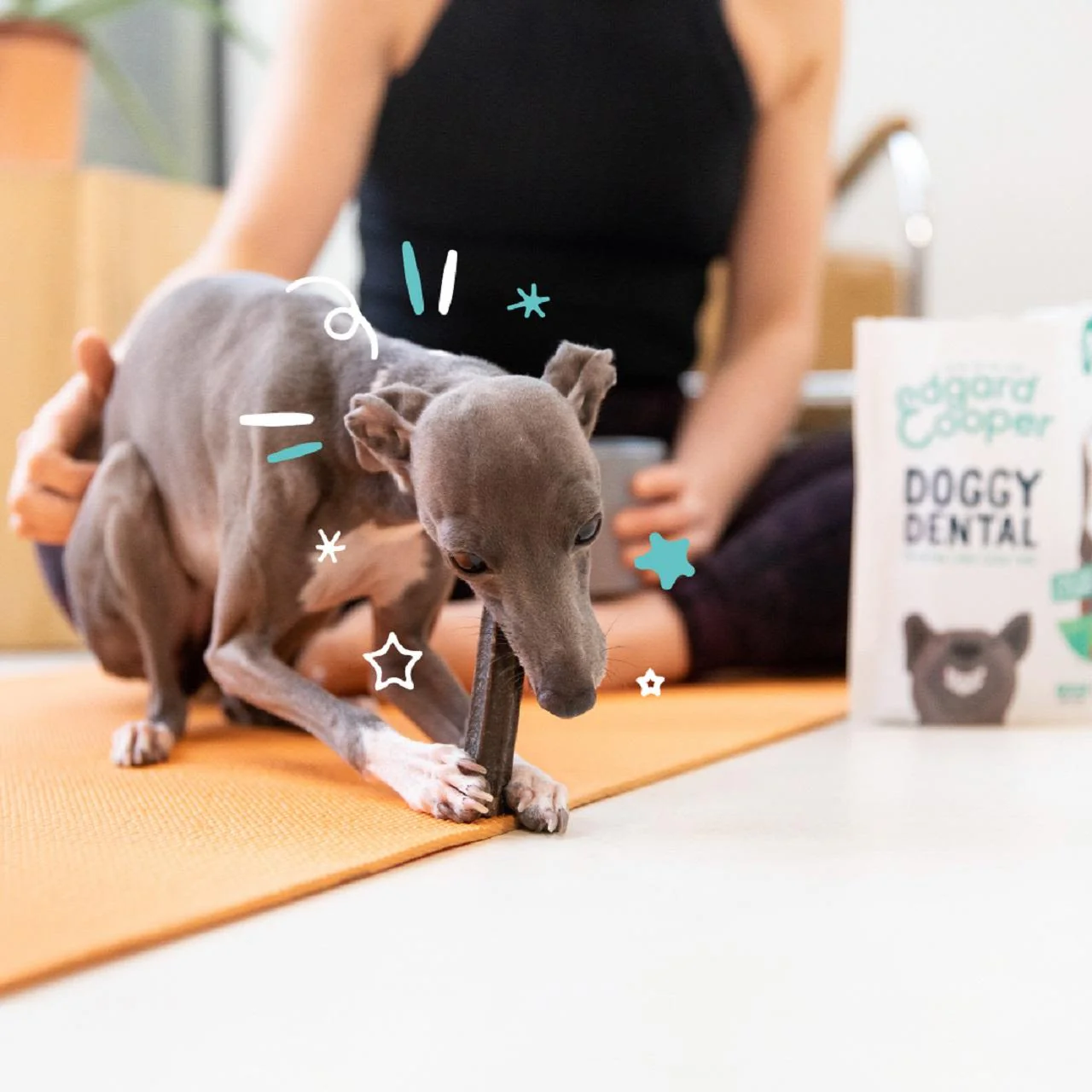 Edgard & Cooper Apple & Eucalyptus Small Doggy Dental Treat - Image 3