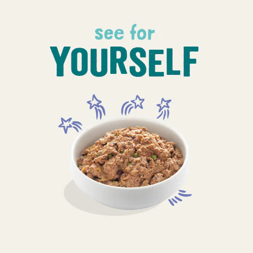 Edgard Cooper Grain Free Adult Beef & Duck Wet Dog Food - Image 3