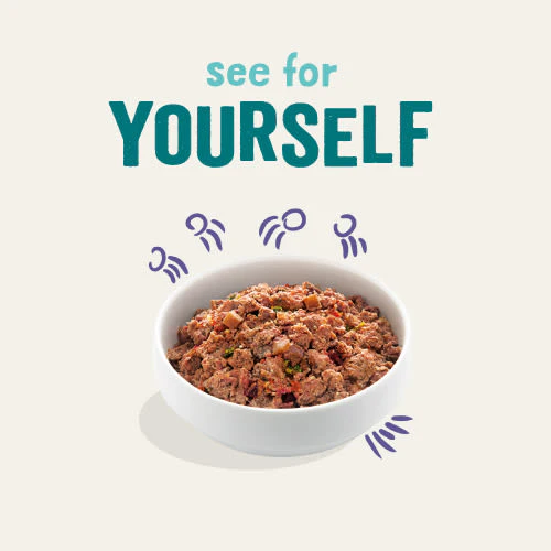 Edgard Cooper Grain Free Adult Beef Wet Dog Food - Image 3