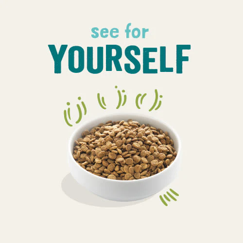 Edgard Cooper Grain Free Adult Grass Fed Lamb Dry Dog Food - Image 5
