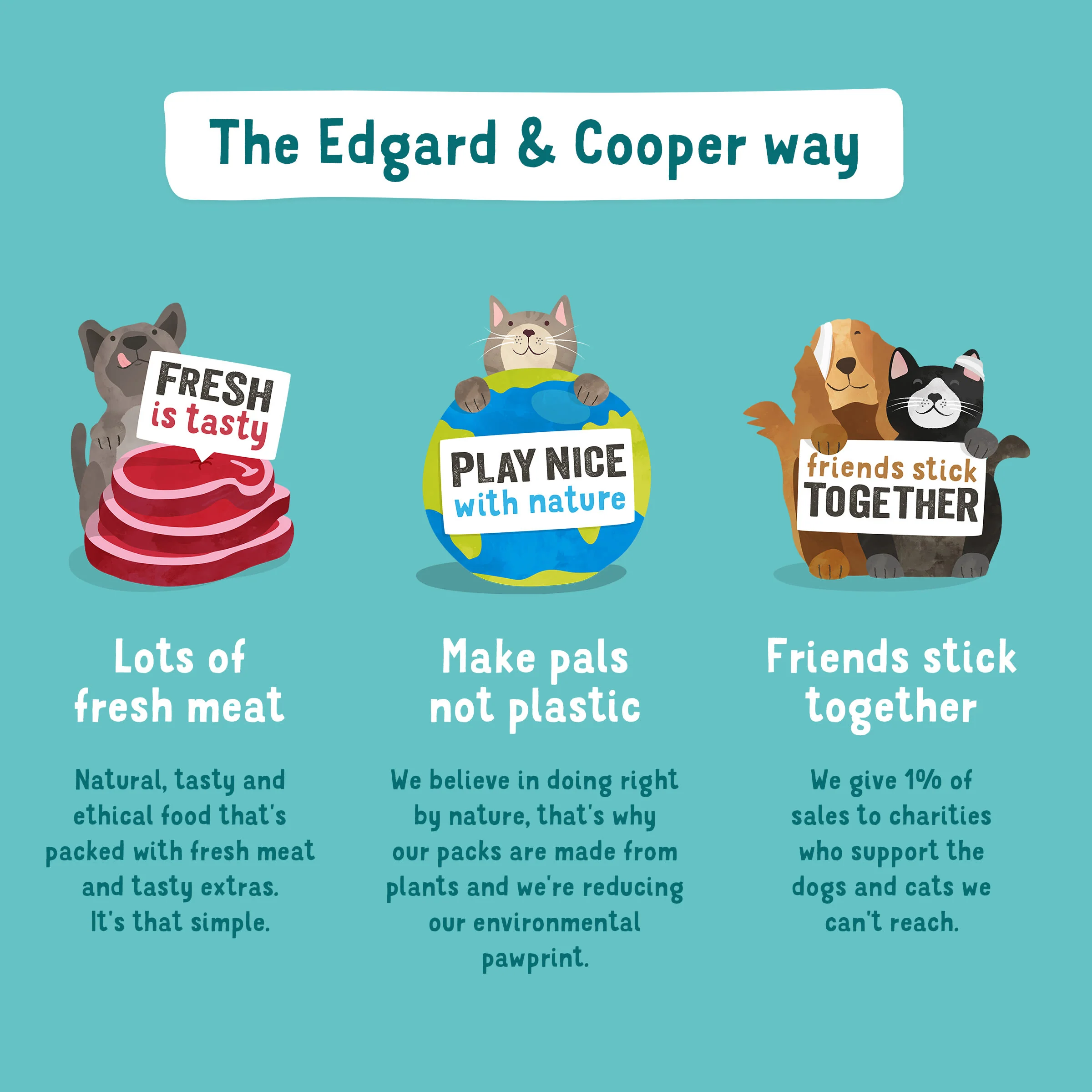 Edgard Cooper Grain Free Senior Chicken & Salmon Wet Dog Food - Image 4