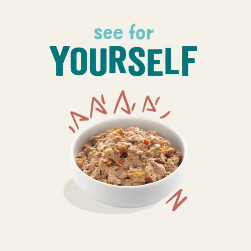Edgard Cooper Grain Free Senior Chicken & Salmon Wet Dog Food - Image 6