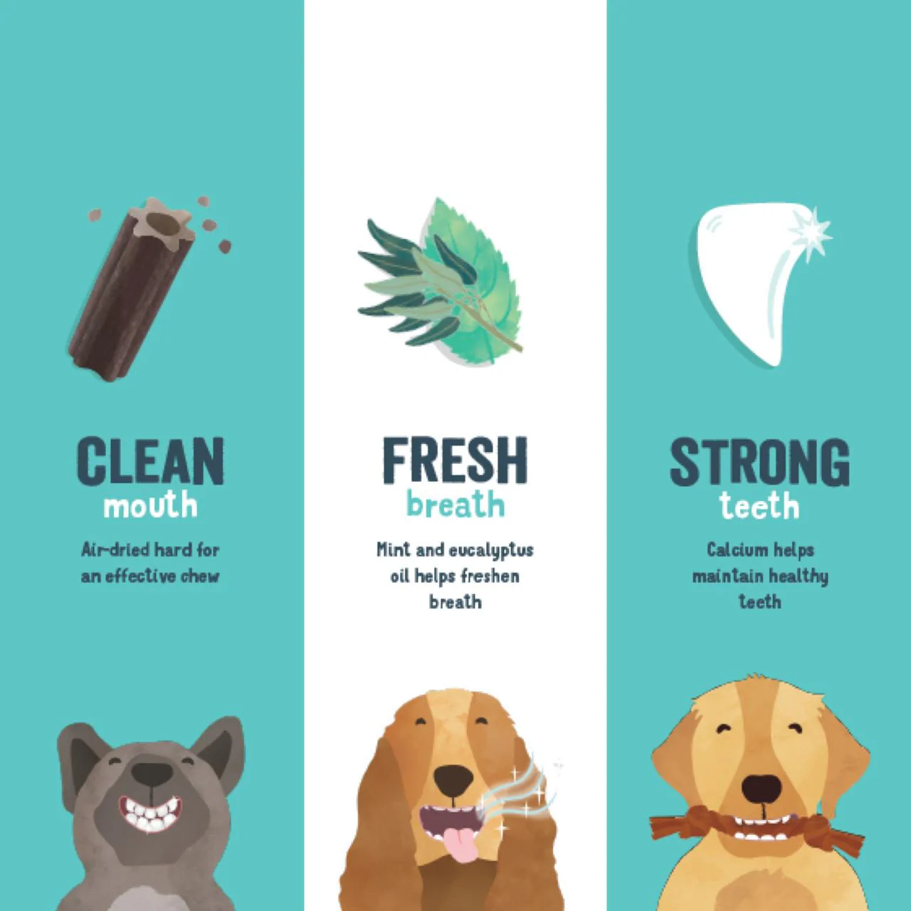 Edgard & Cooper Strawberry & Mint Small Doggy Dental Treat - Image 4