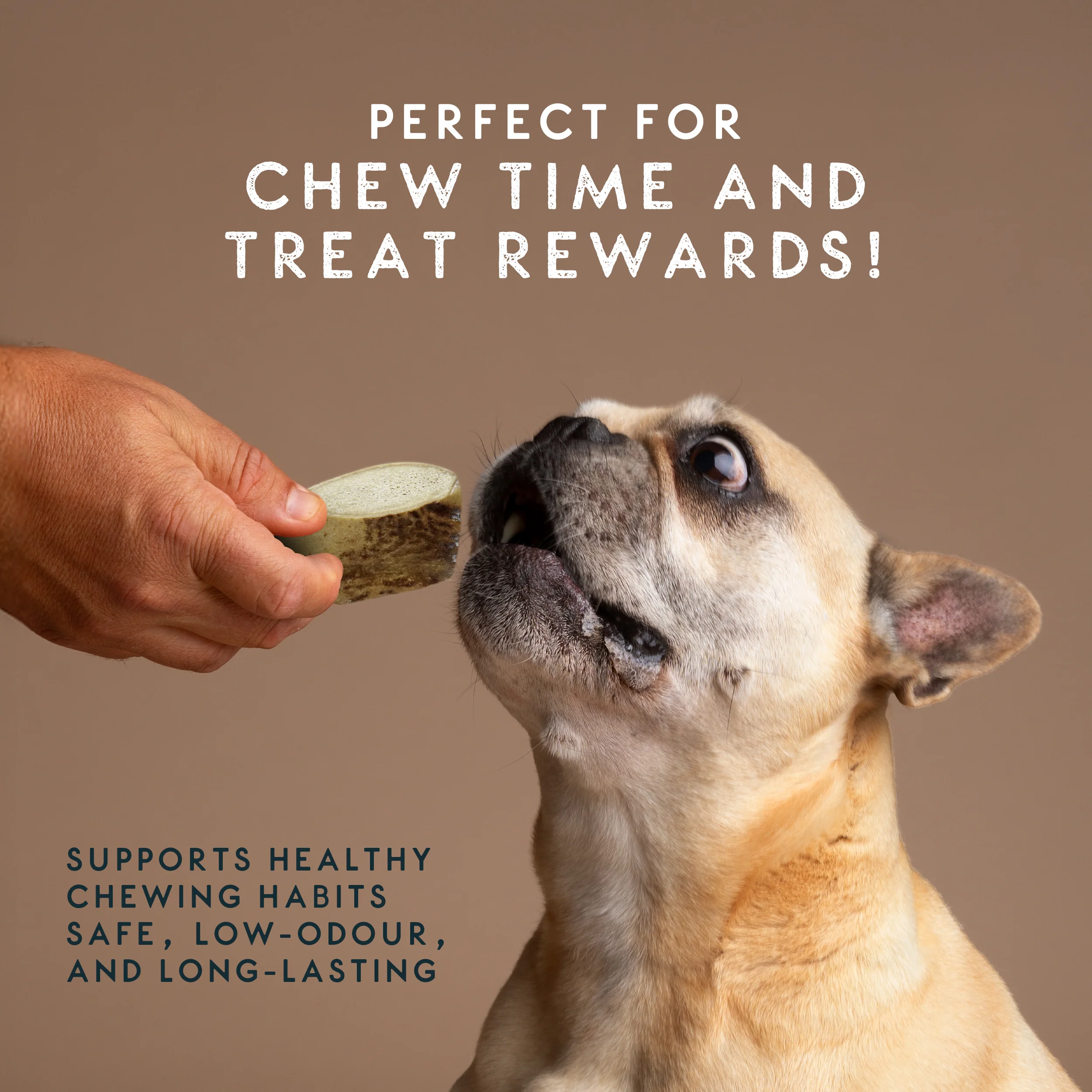 Elkwood 100% Natural Split Antler Chew | Medium - Image 6