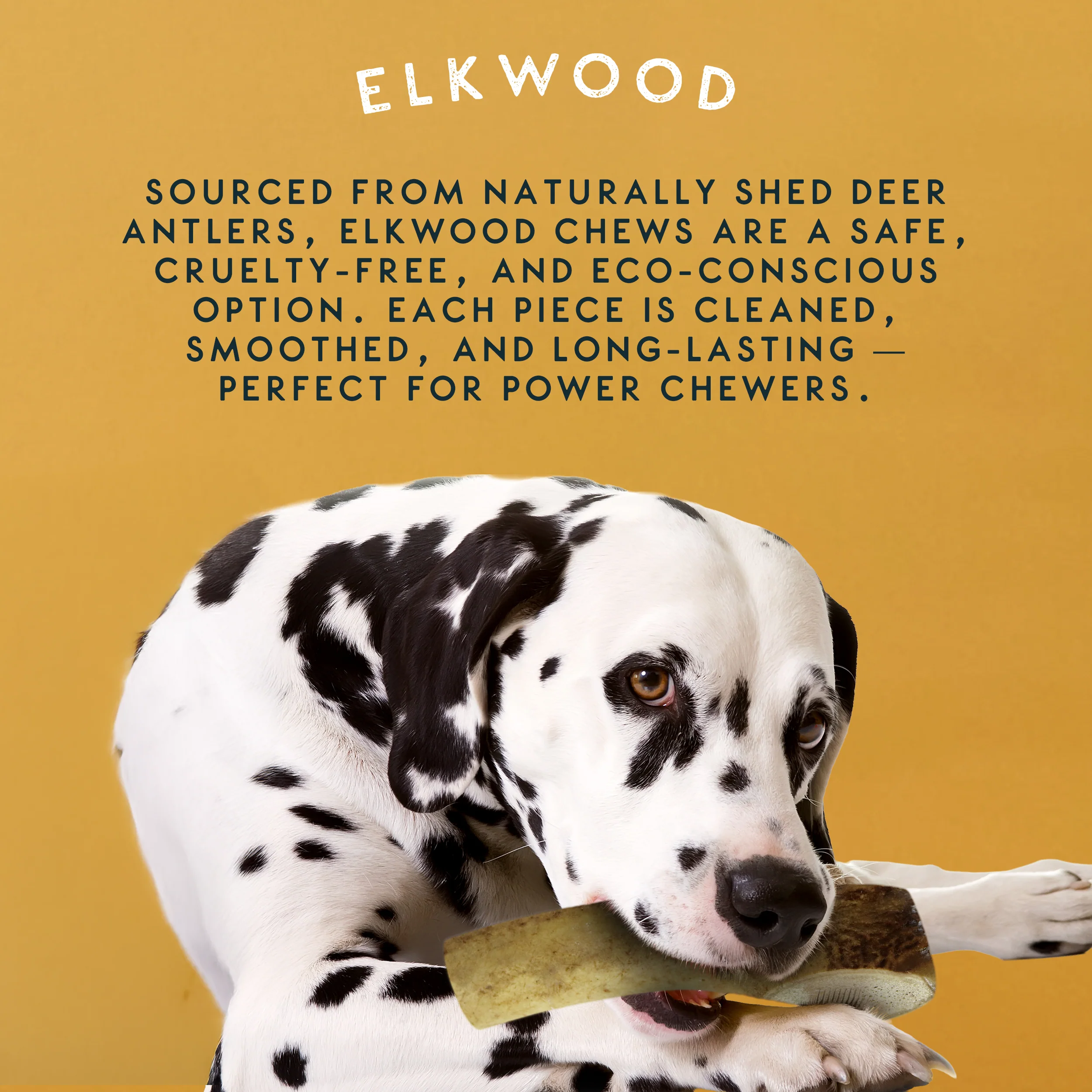 Elkwood 100% Natural Split Antler Chew | Medium - Image 7
