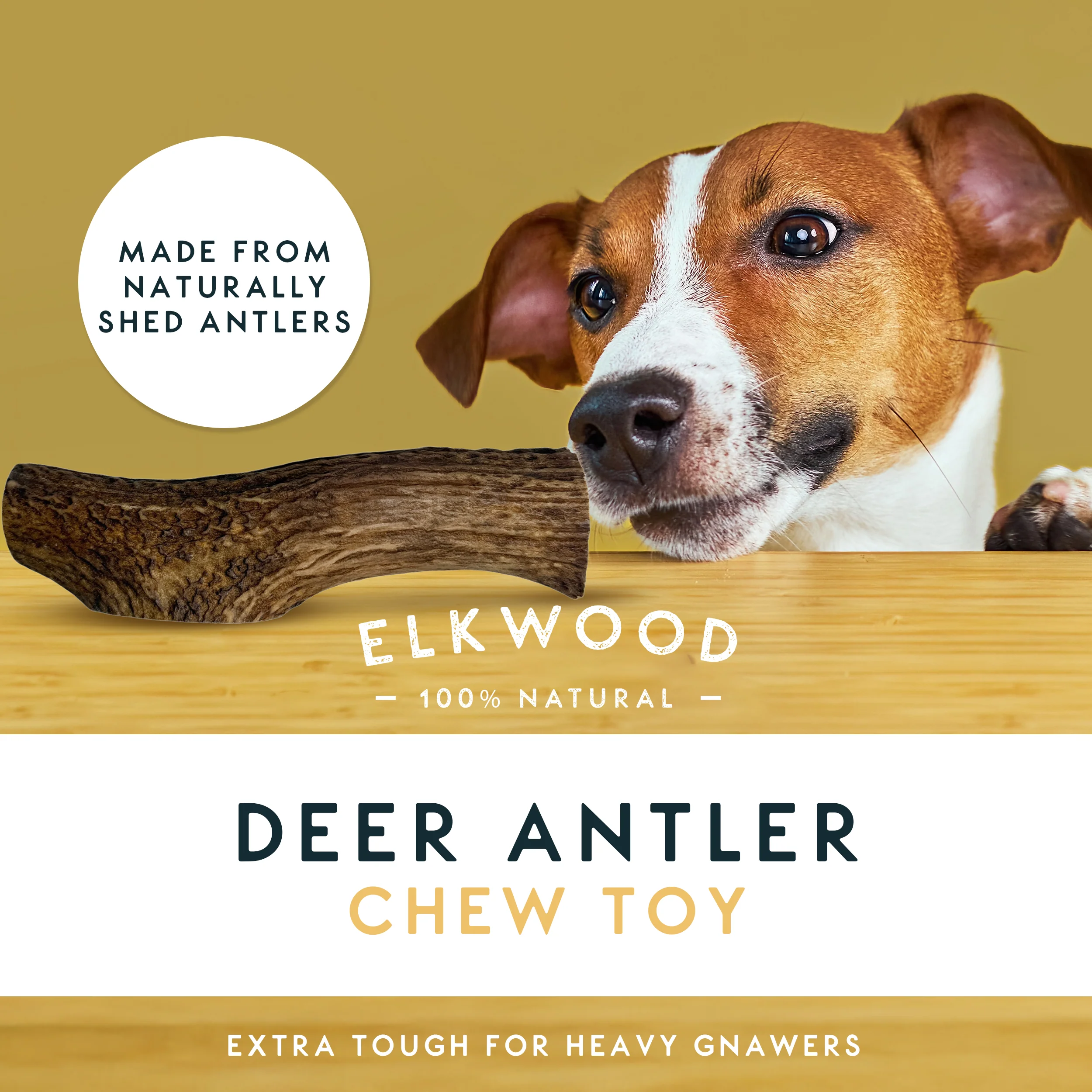 Elkwood 100% Natural Split Antler Chew | Large - Image 2