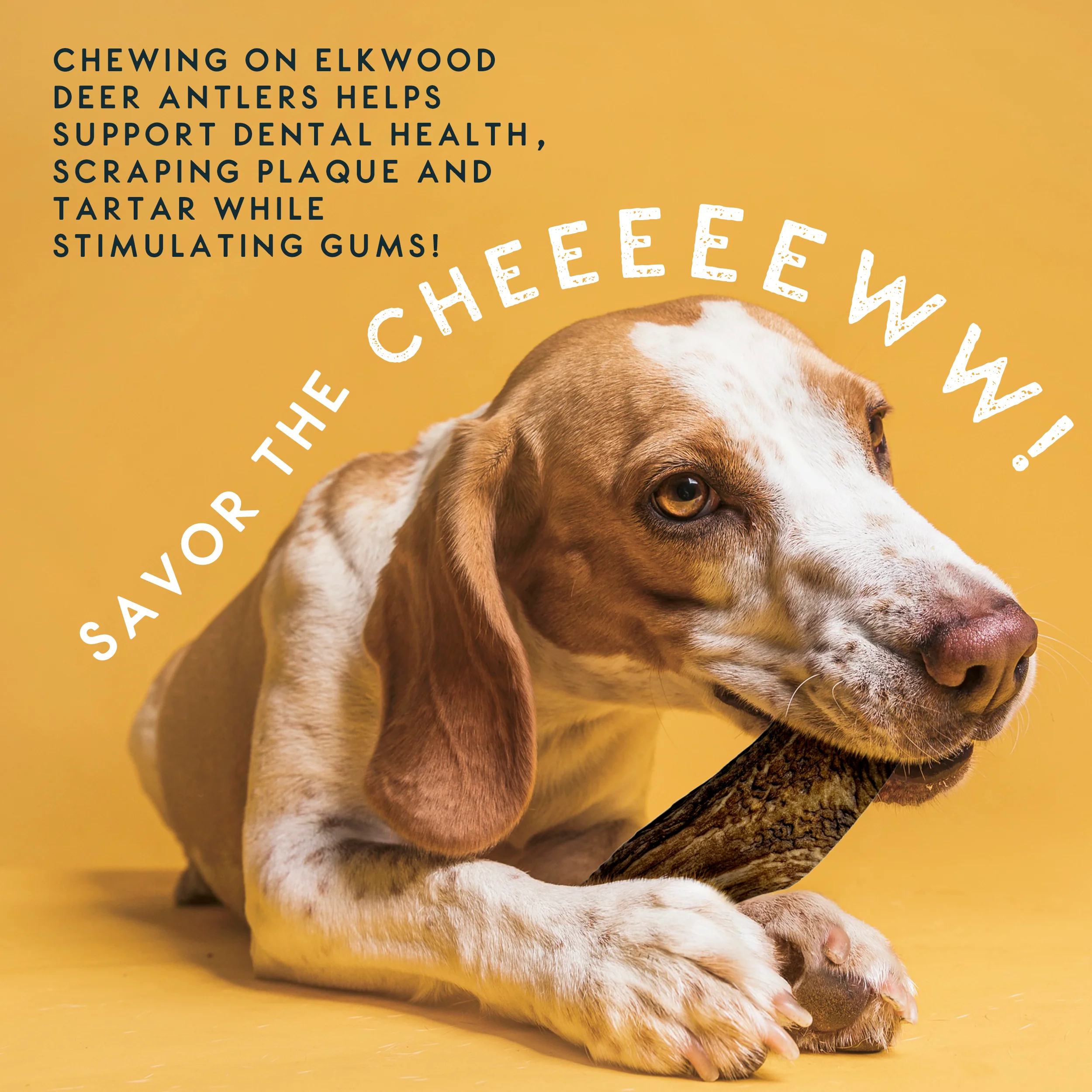 Elkwood 100% Natural Split Antler Chew | Large - Image 5