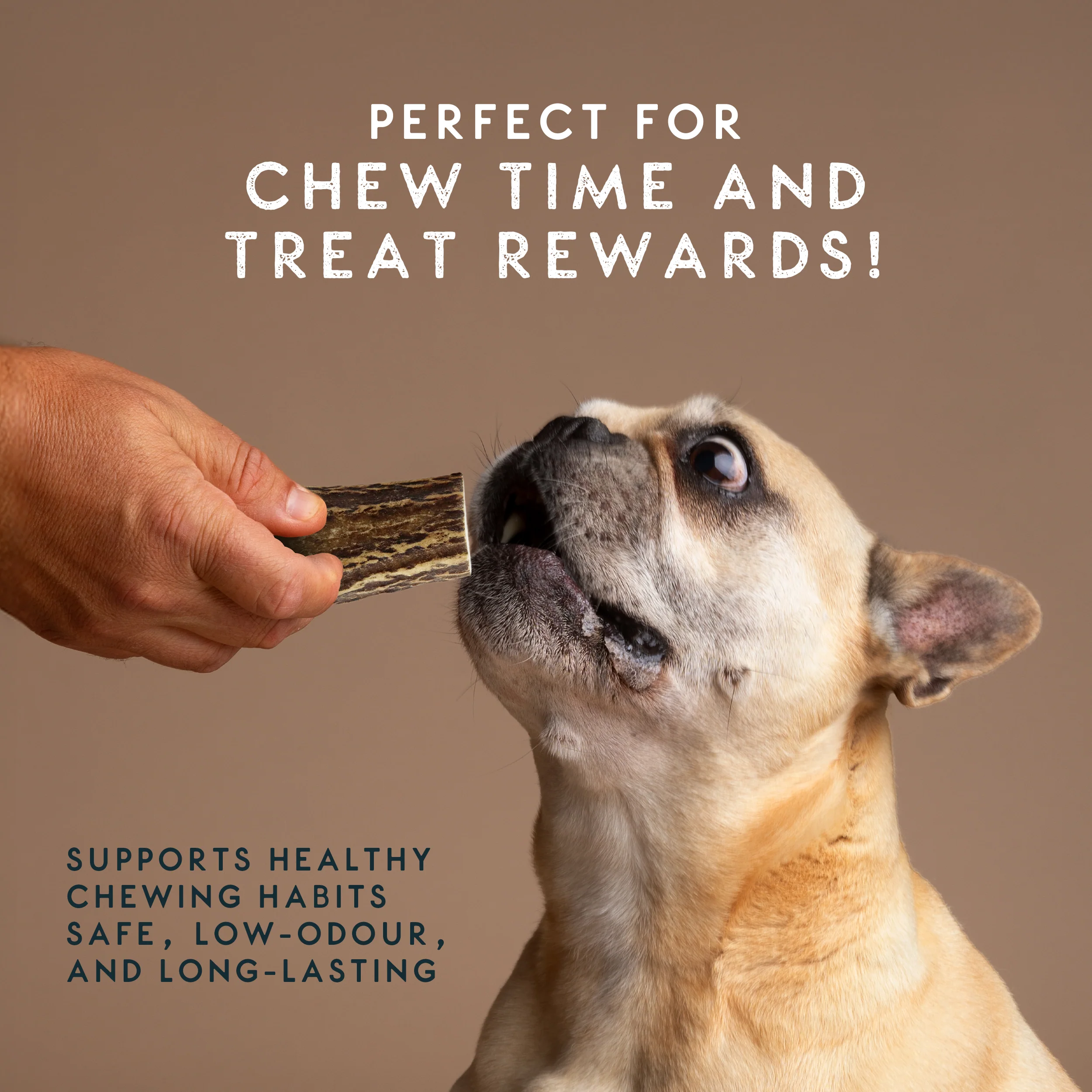 Elkwood 100% Natural Split Antler Chew | Large - Image 6
