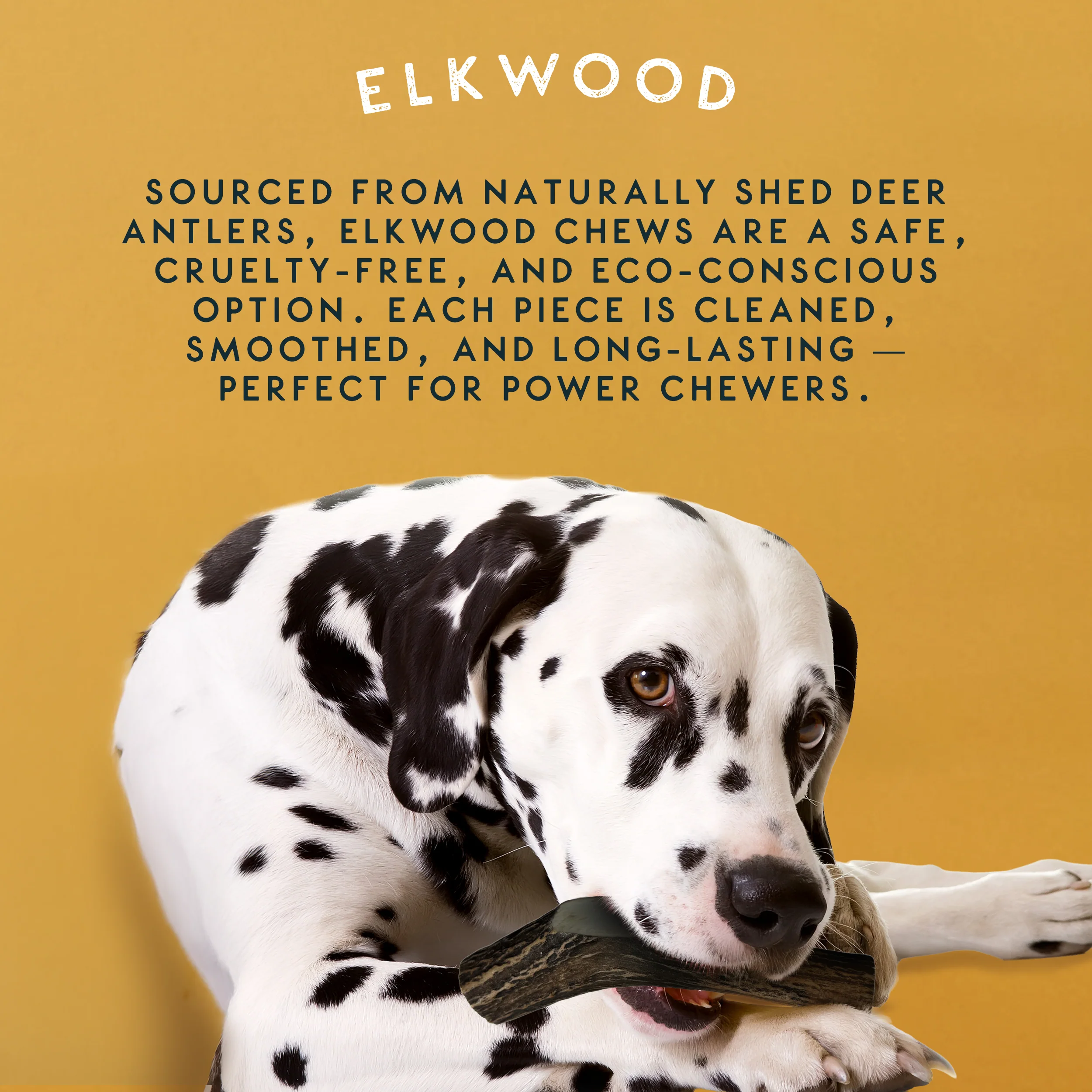 Elkwood 100% Natural Split Antler Chew | Large - Image 7