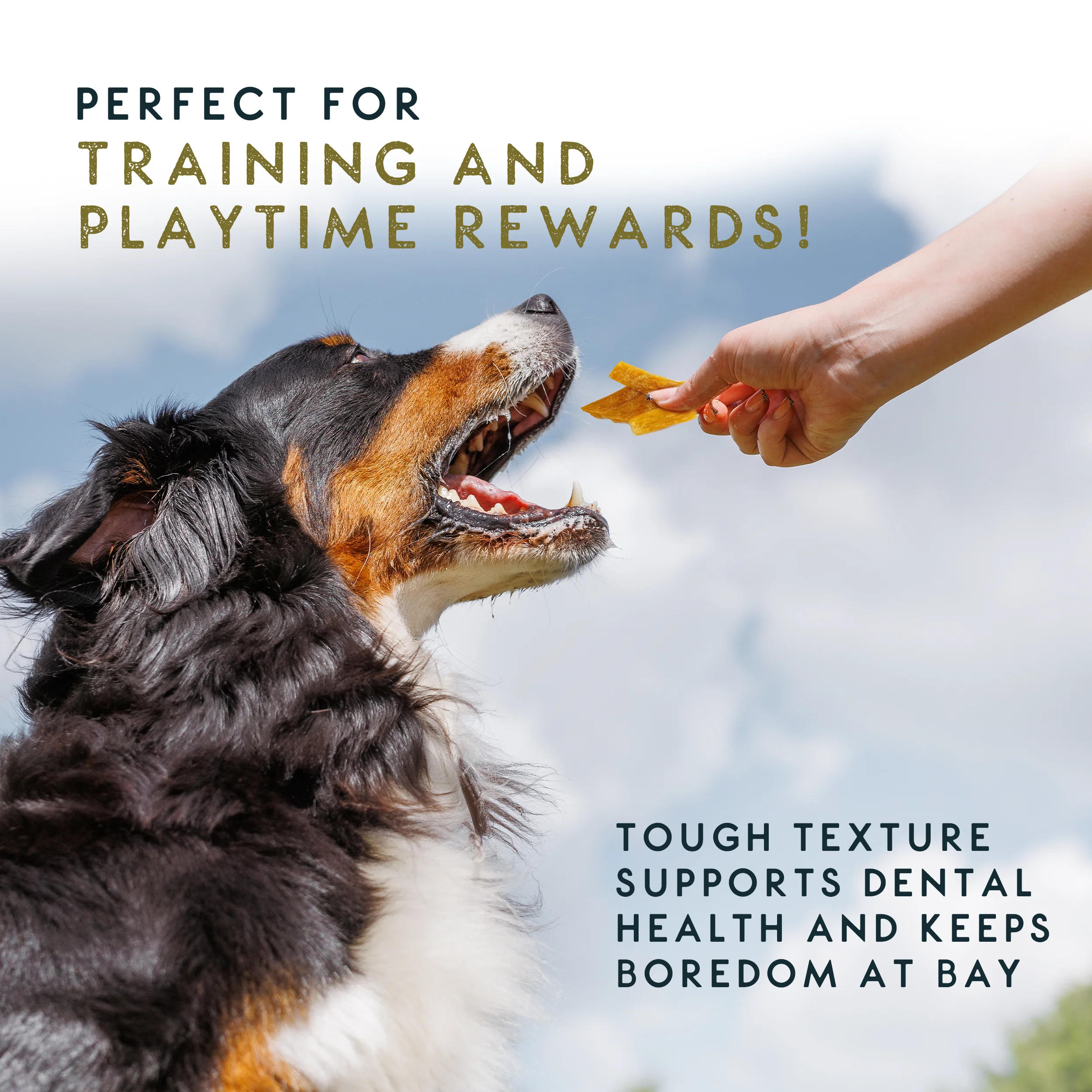 Elkwood 100% Buffalo Paddywack Dog Chew | 220g - Image 6