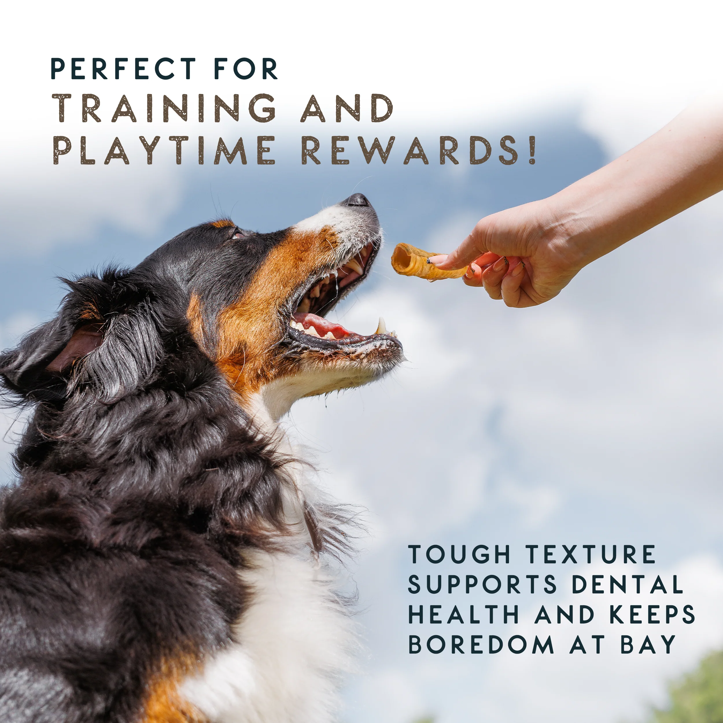 Elkwood 100% Buffalo Trachea Dog Treat | 200g - Image 6