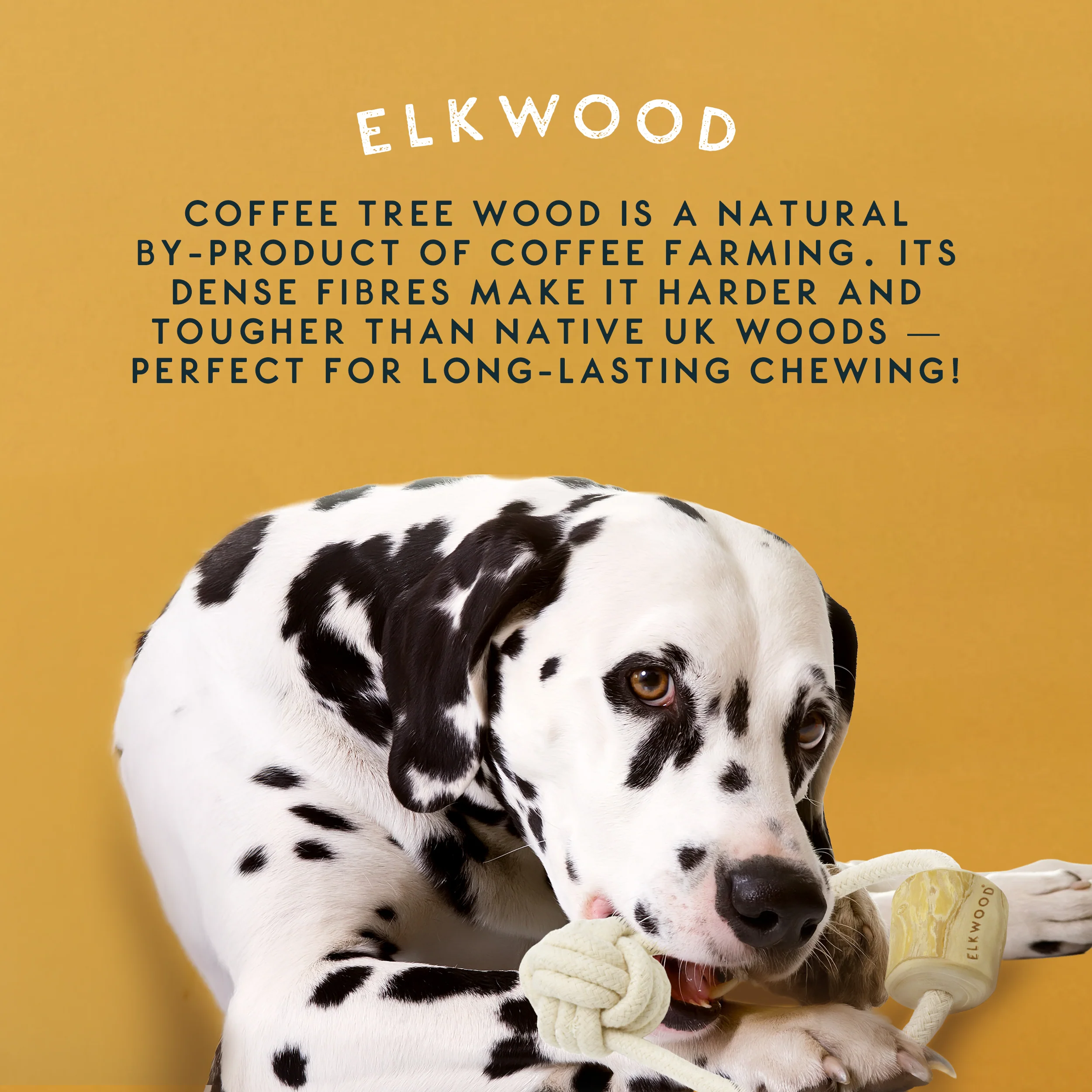 Elkwood Coffee Wood Ball & Chew Dog Toy - Image 7