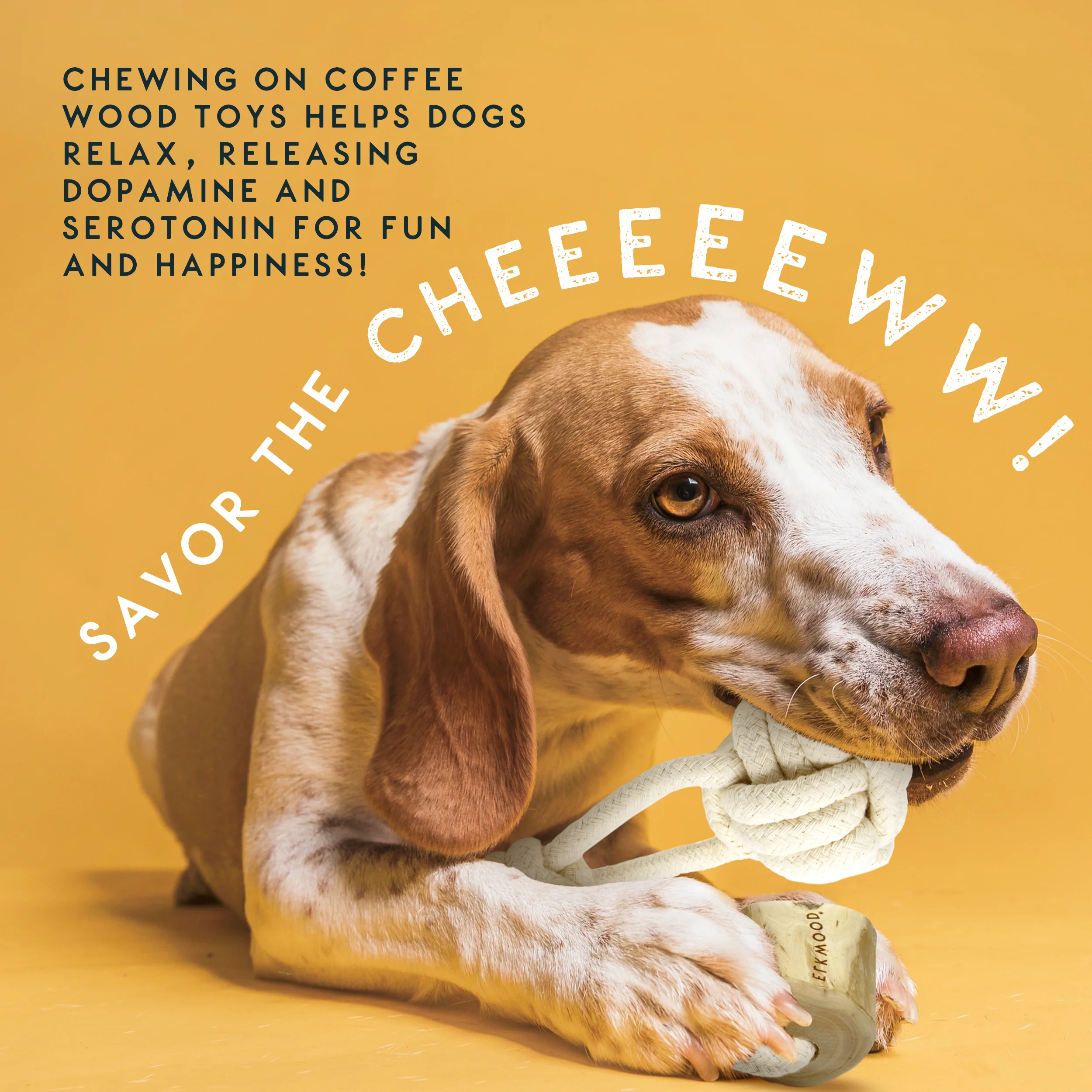 Elkwood Coffee Wood Knot & Ball Dog Toy - Image 4
