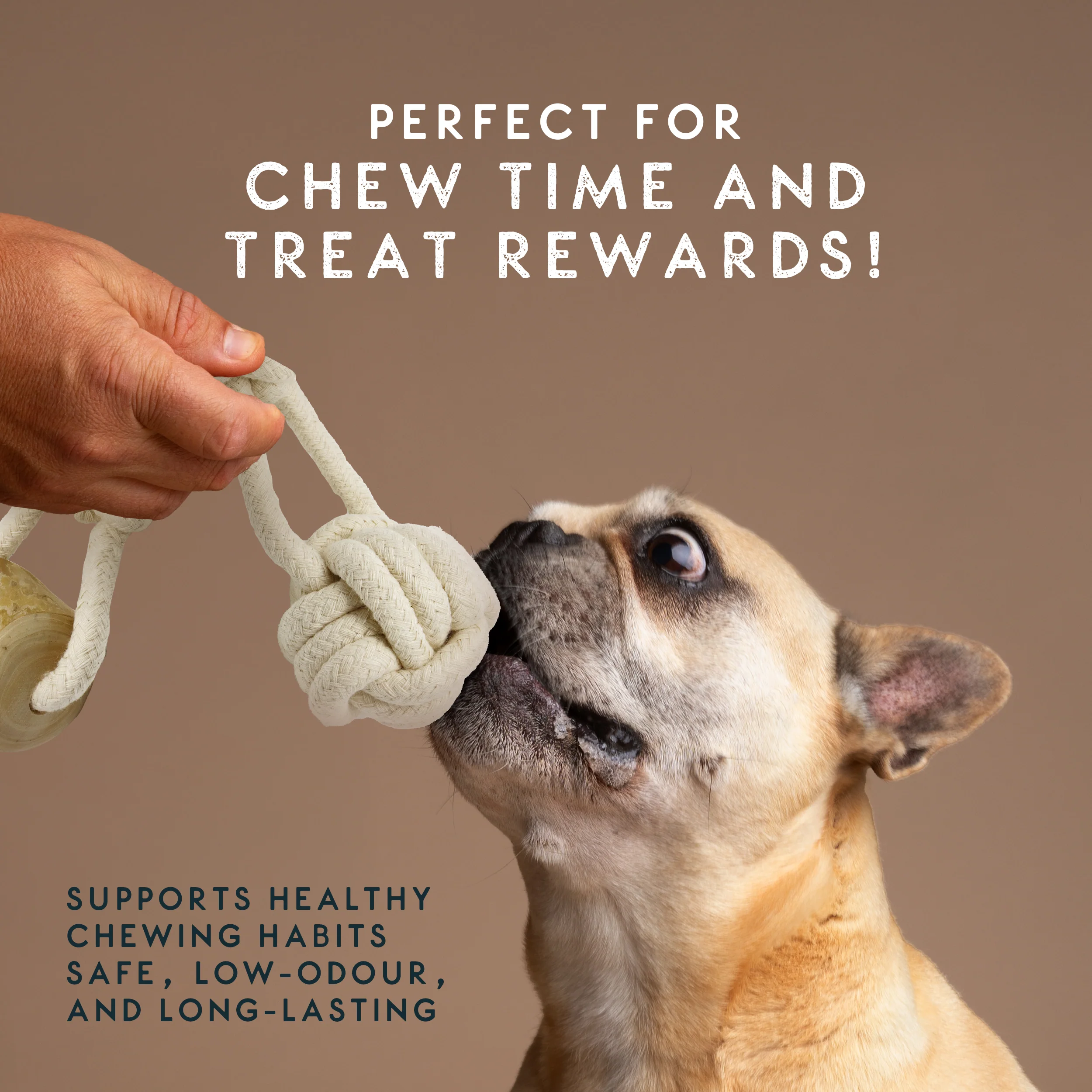 Elkwood Coffee Wood Knot & Ball Dog Toy - Image 6