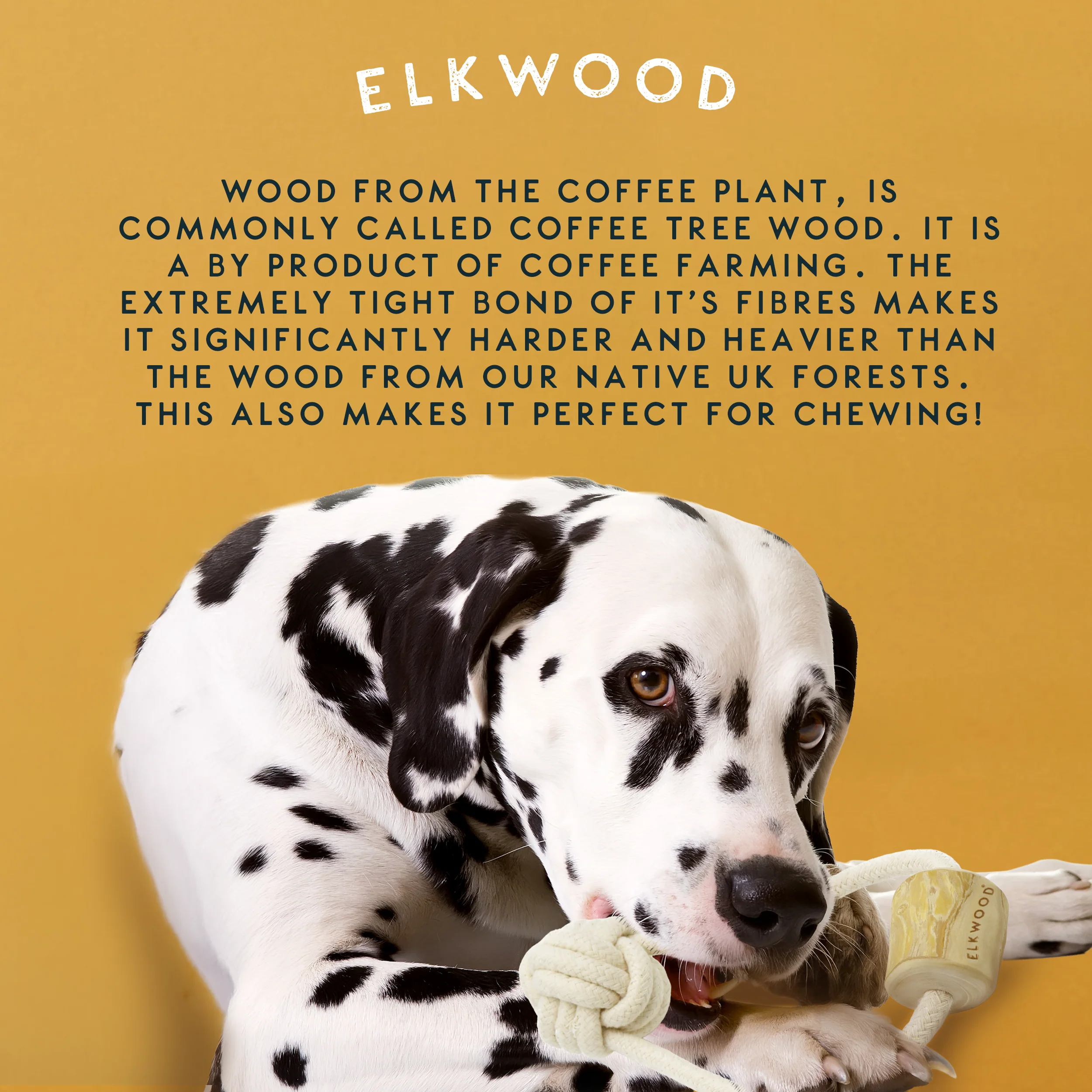 Elkwood Coffee Wood Knot & Ball Dog Toy - Image 7