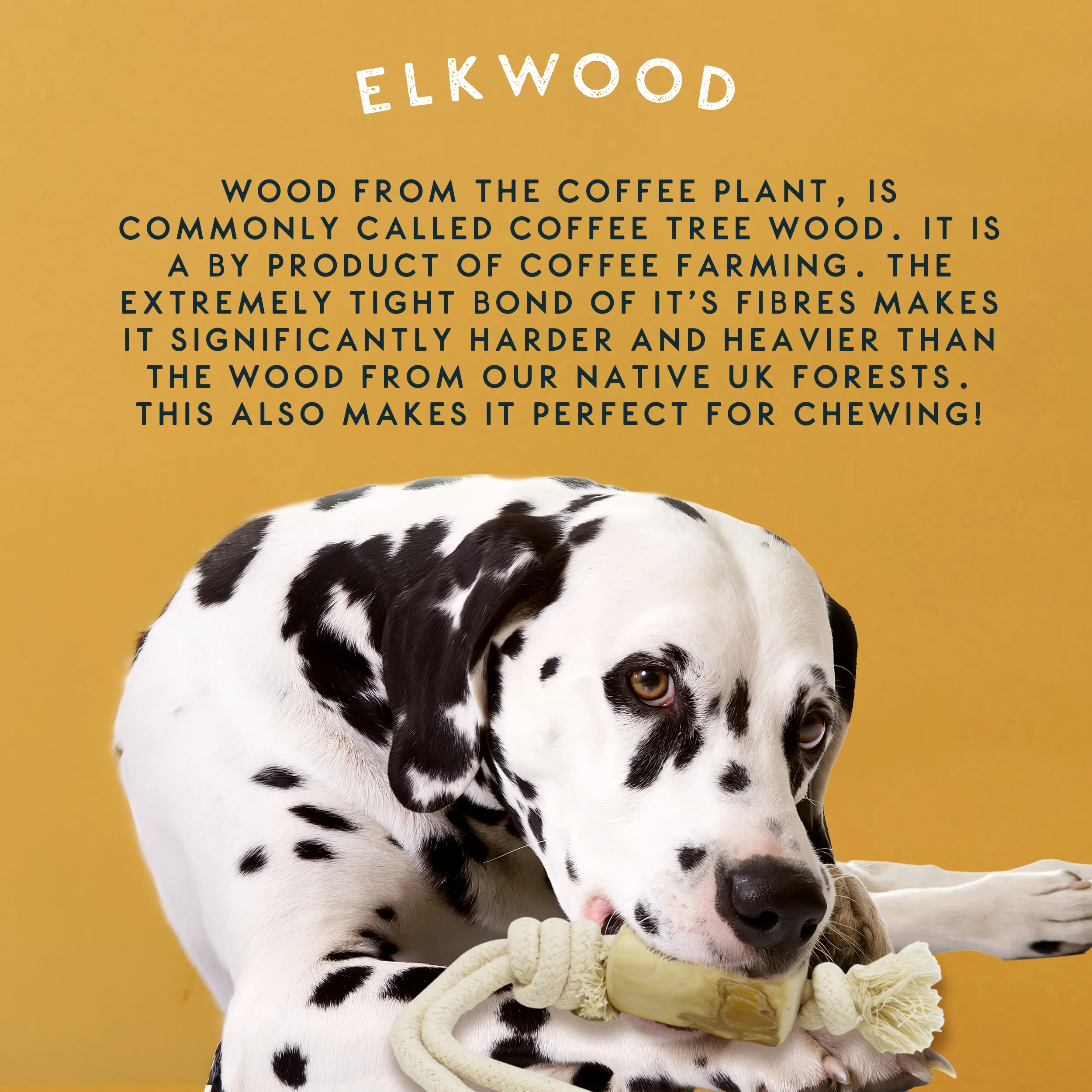 Elkwood Coffee Wood Rope Dog Toy - Image 7