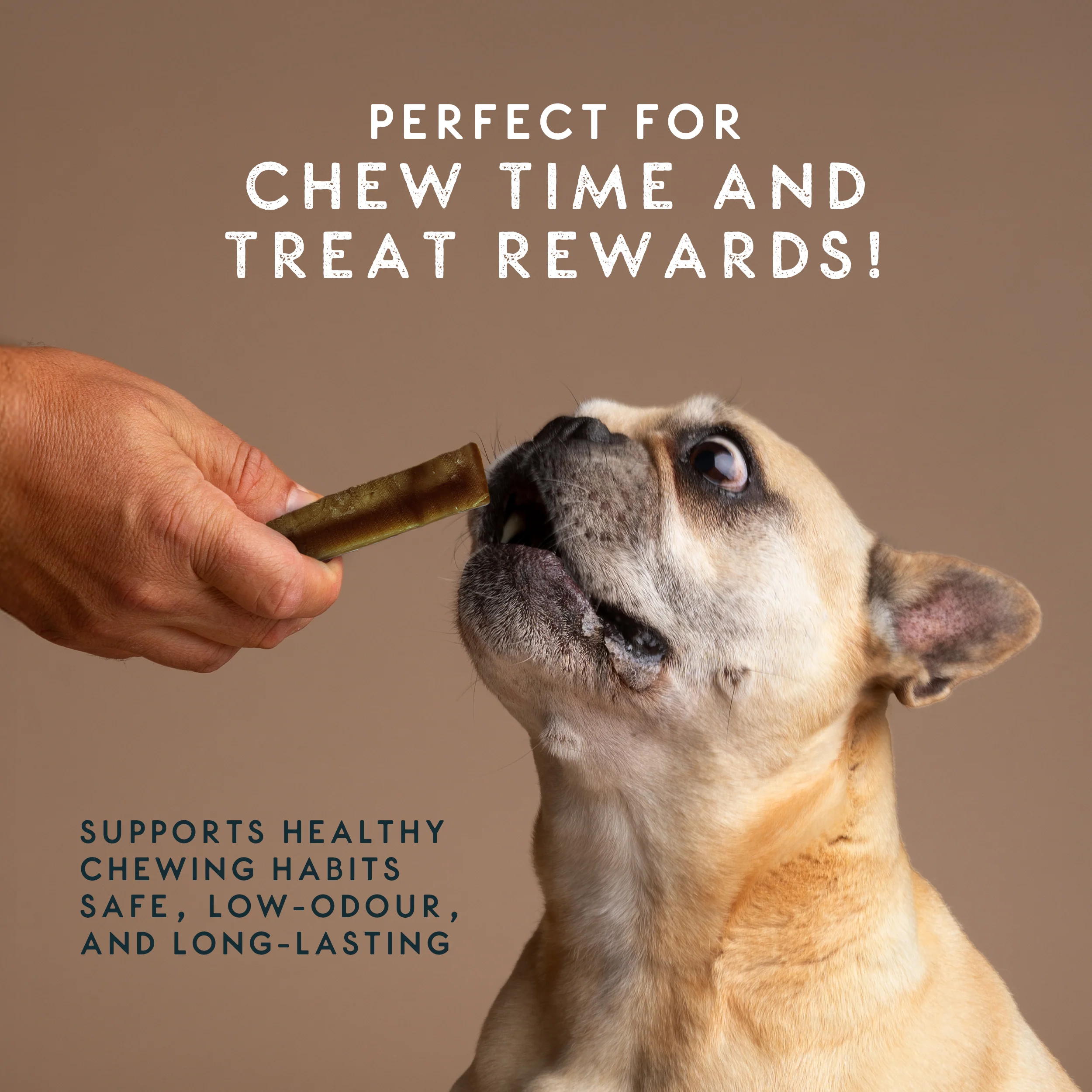 Elkwood Himalayan Peanut Butter Dog Chew – Small - Image 6