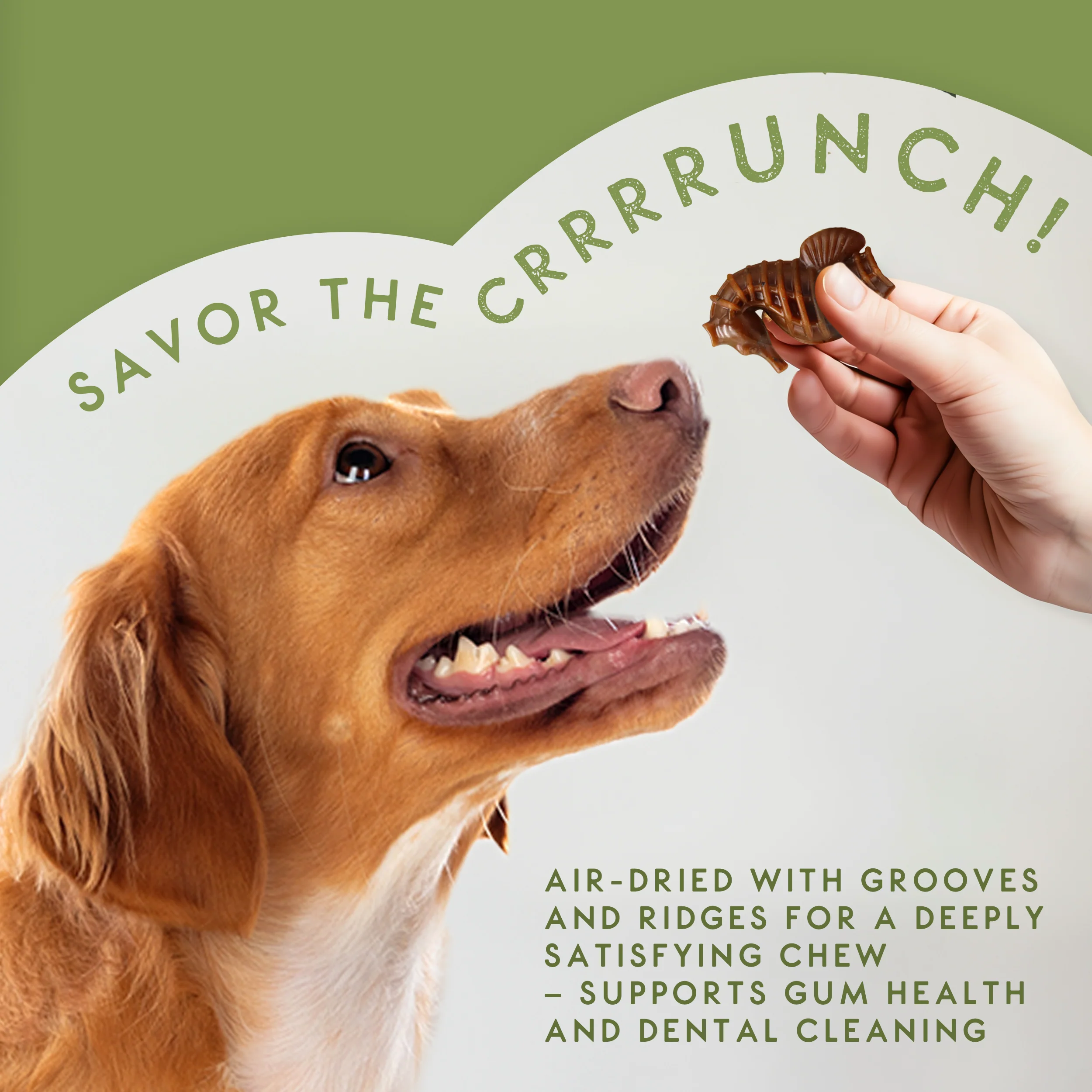 Elkwood Seaweed & Vegetable Dental Dog Chews | Large - Image 5