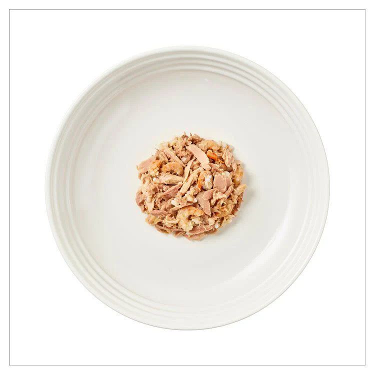 Encore Adult Wet Cat Food - Fish Selection in Jelly - Image 2