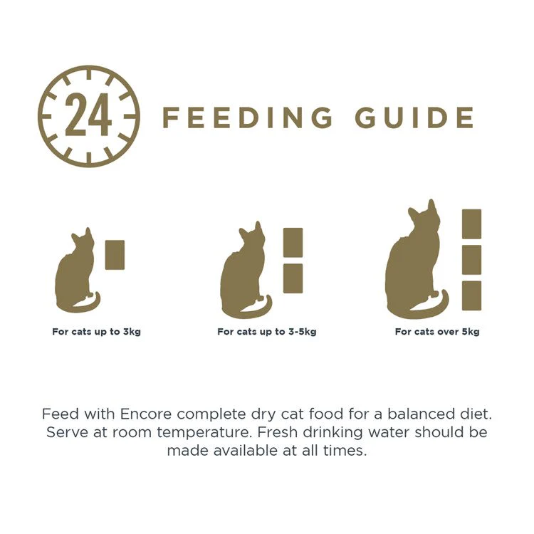Encore Adult Wet Cat Food Pouch - Fish Selection in Jelly - Image 4