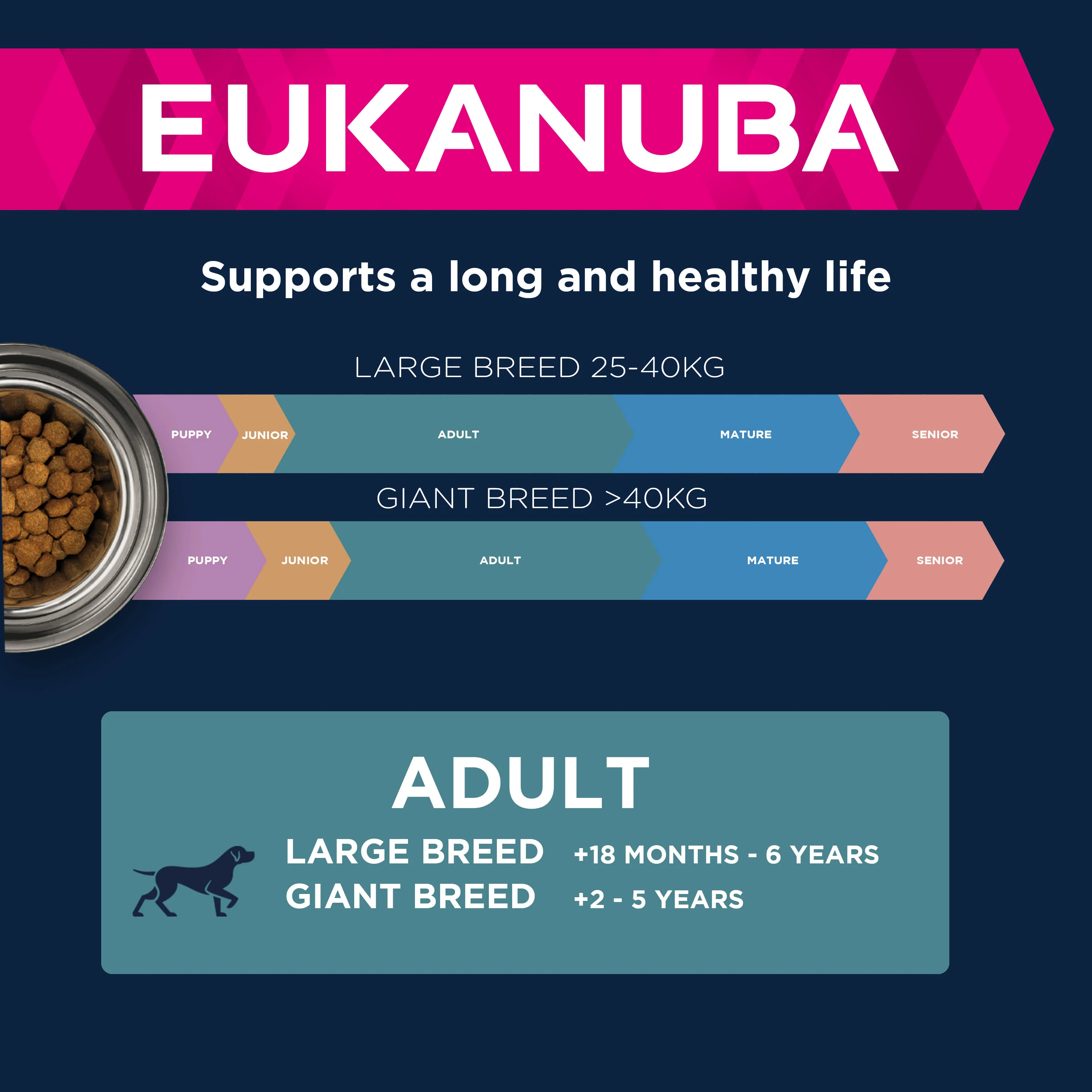 Eukanuba Active Adult Large Breed Dry Dog Food - Chicken - Image 7