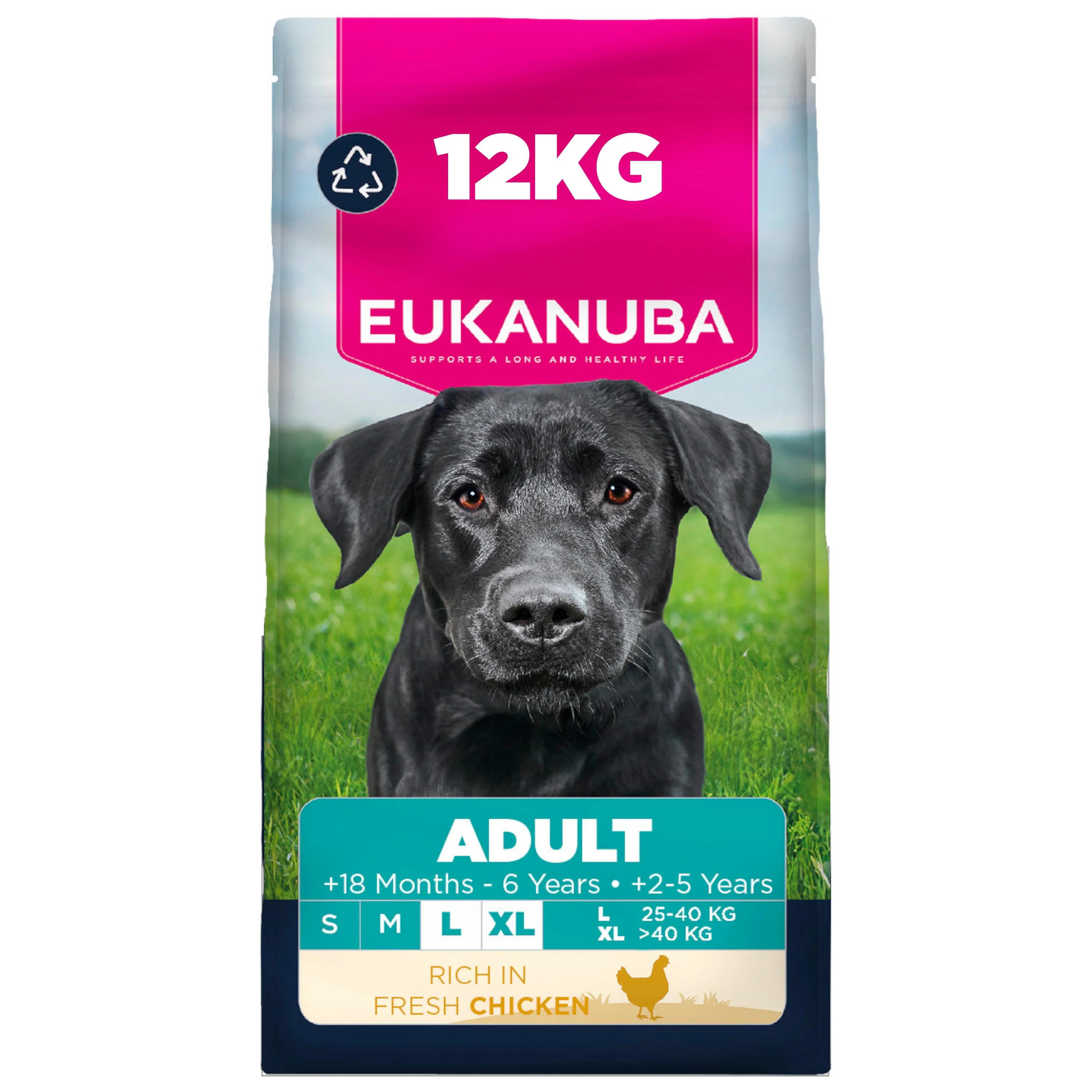 Eukanuba Adult Large Breed Dry Dog Food - Chicken - Image 2