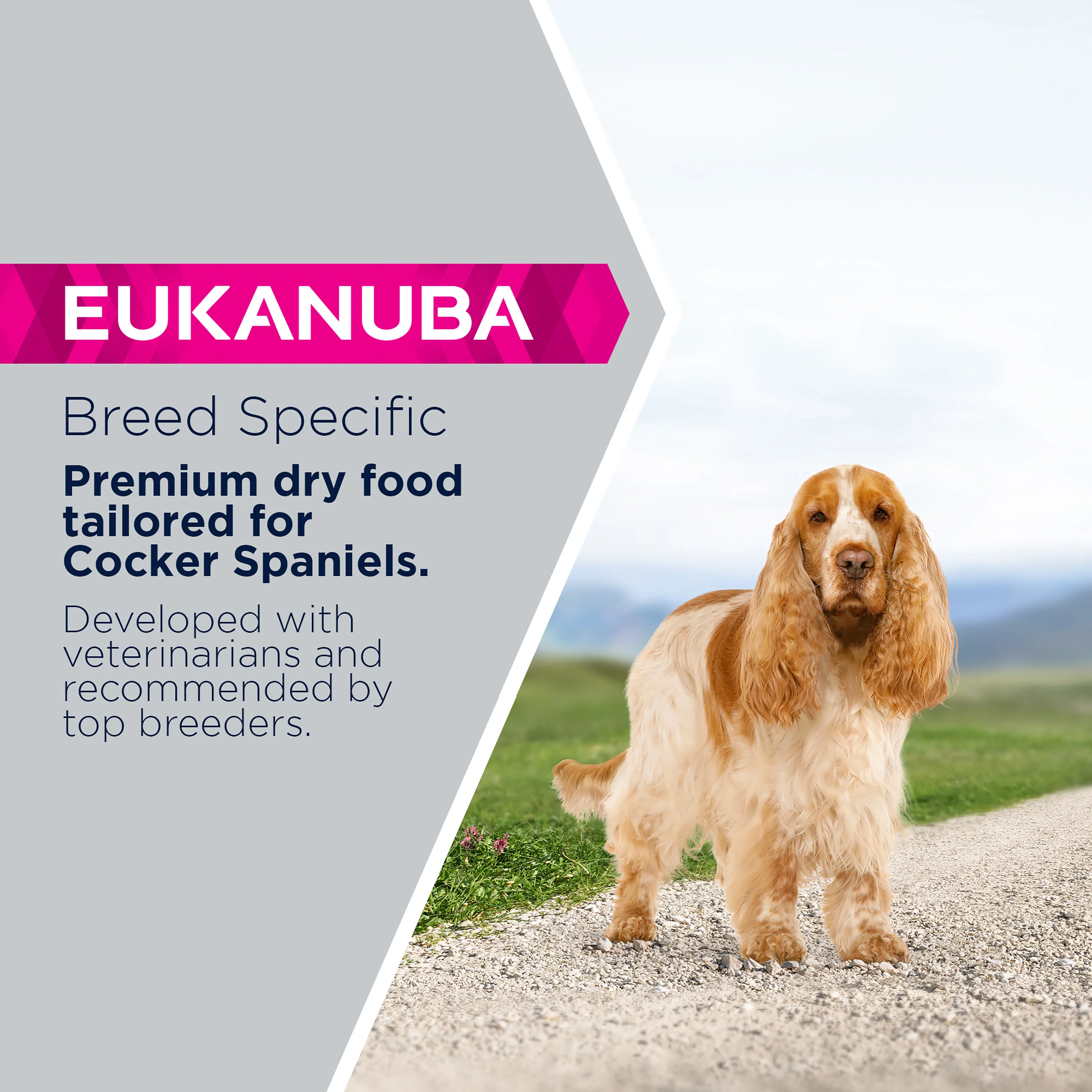 Eukanuba Breed Specific Cocker Spaniel - Image 6