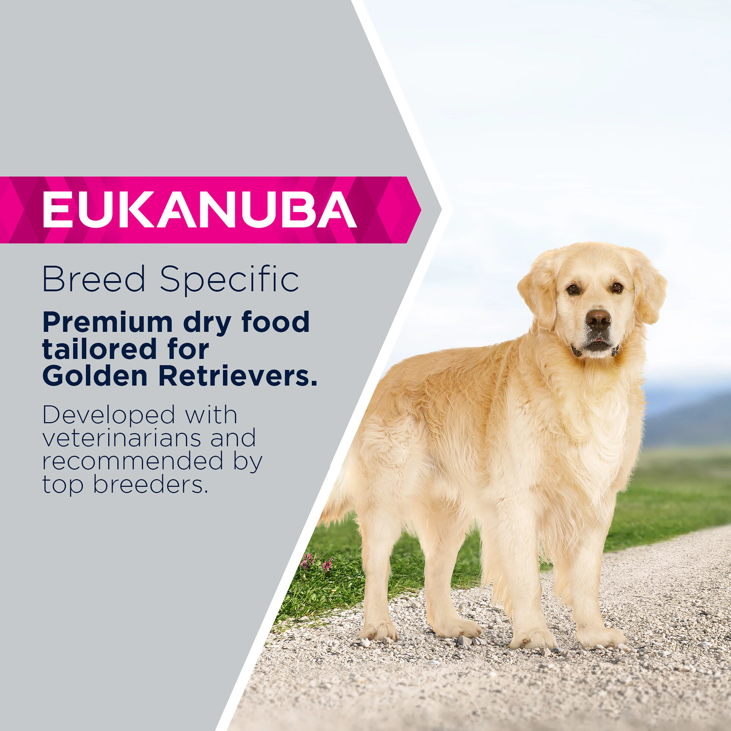 Eukanuba Breed Specific Golden Retriever - Image 6