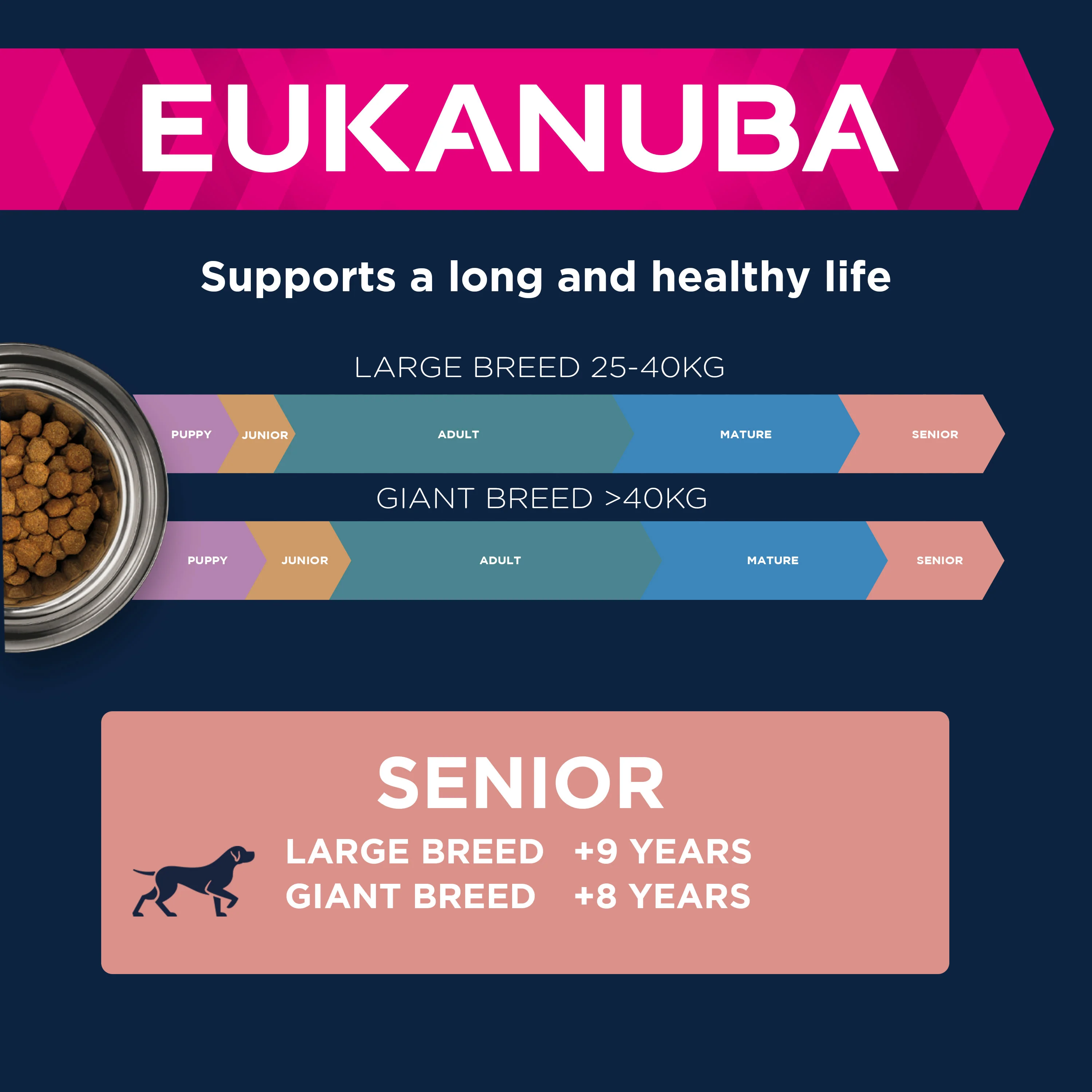 Eukanuba Caring Senior Large Breed Dry Dog Food - Chicken - Image 3