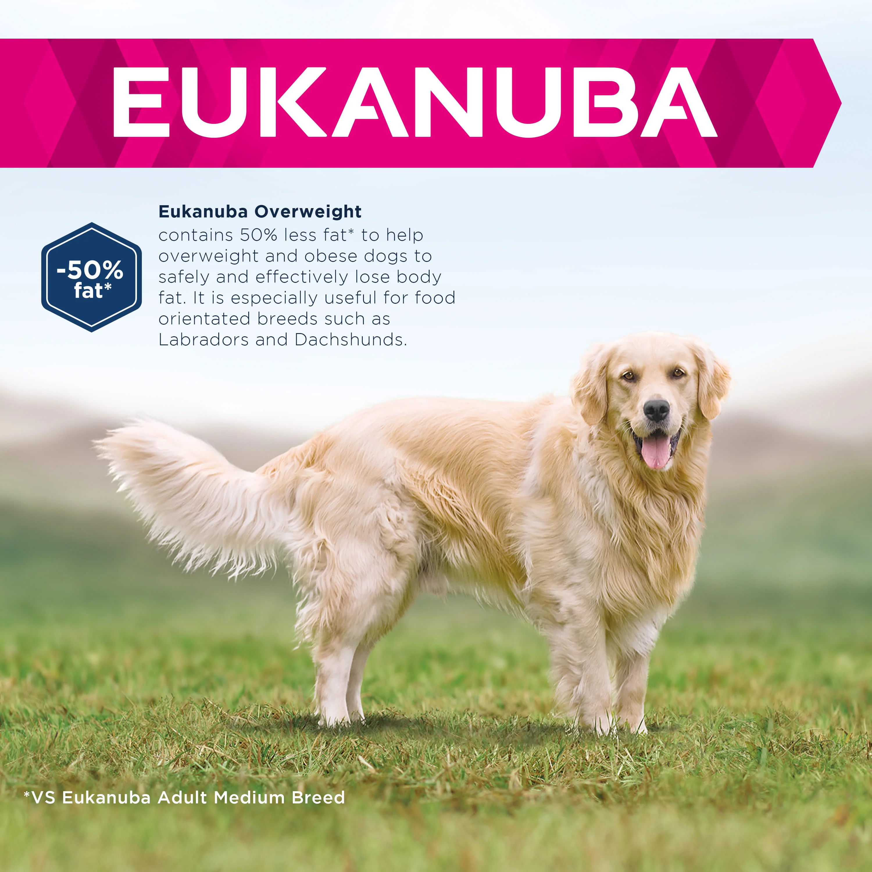 Eukanuba Daily Care Adult Overweight Dry Dog Food - Chicken - Image 3