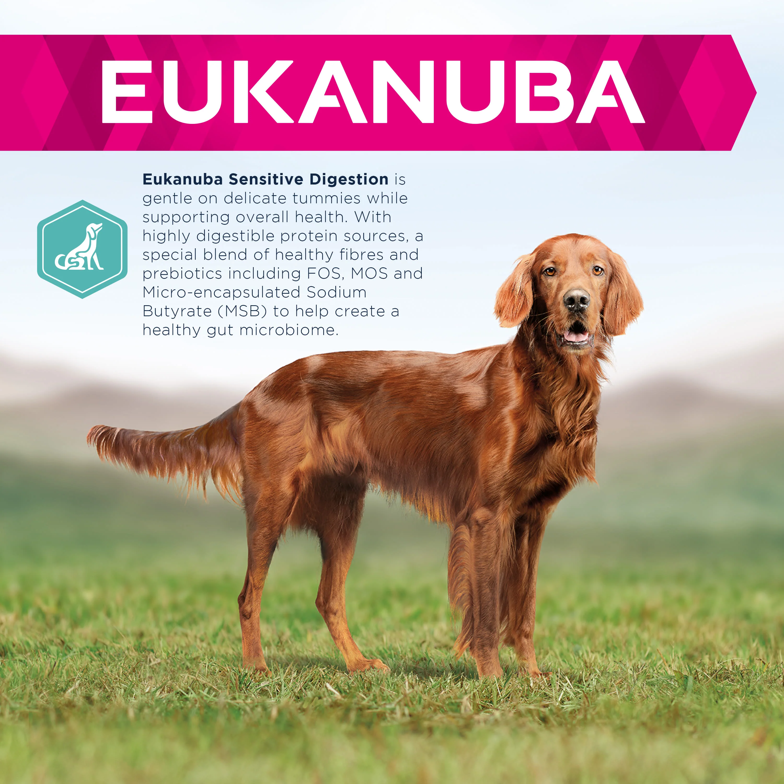 Eukanuba Daily Care Sensitive Digestion - Image 3