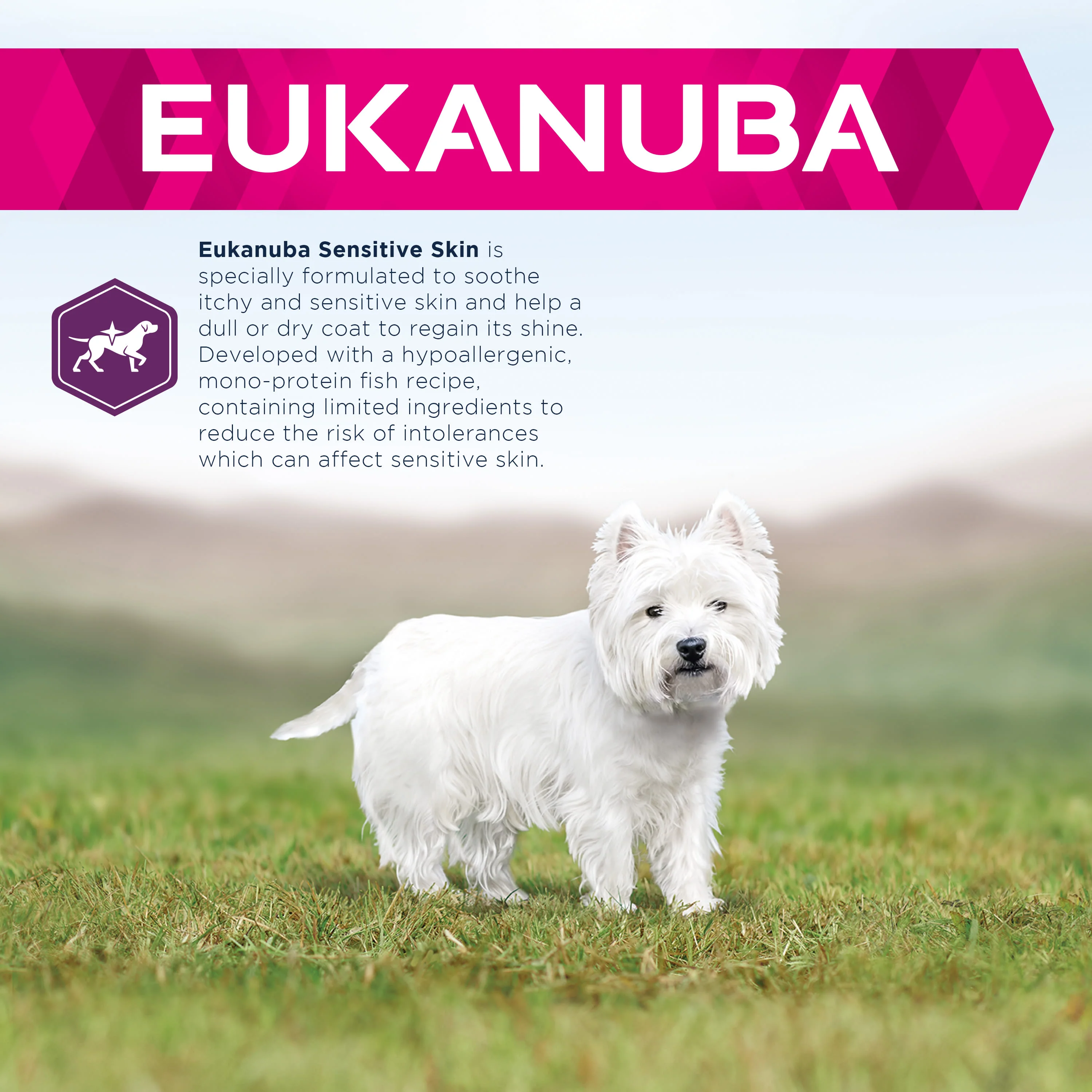 Eukanuba Daily Care Sensitive Skin Adult +1 Dry Dog Food - Image 3