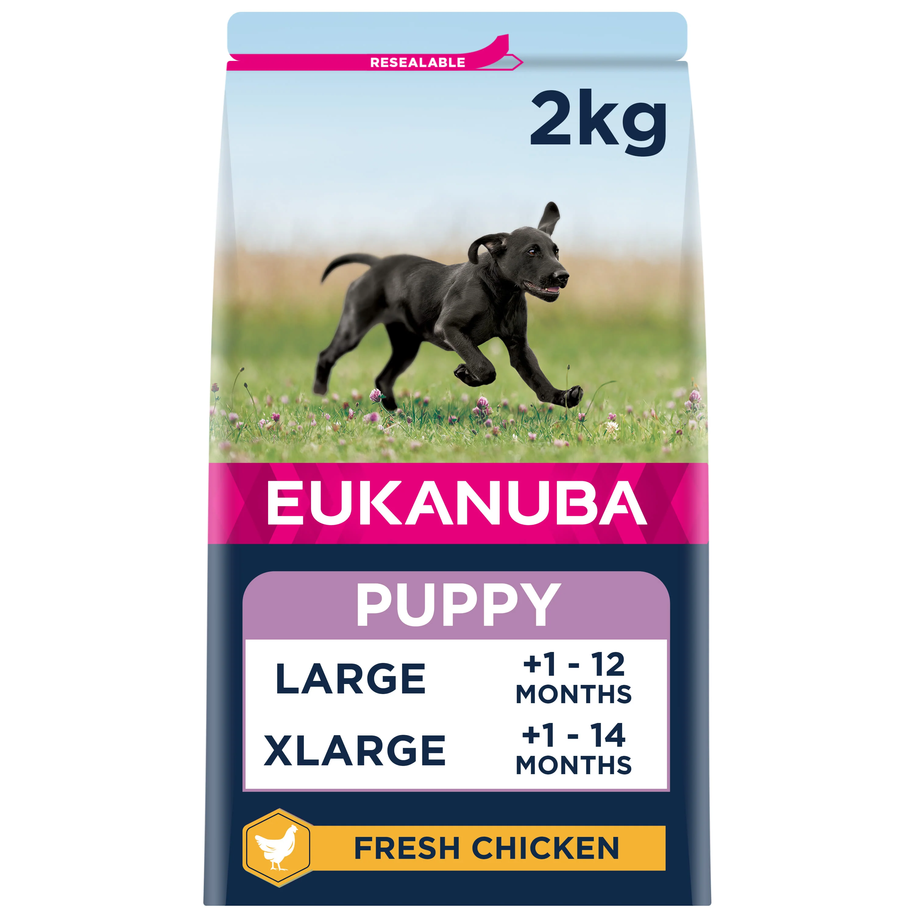 Eukanuba Growing Puppy Large Breed Dry Dog Food - Chicken - Image 5