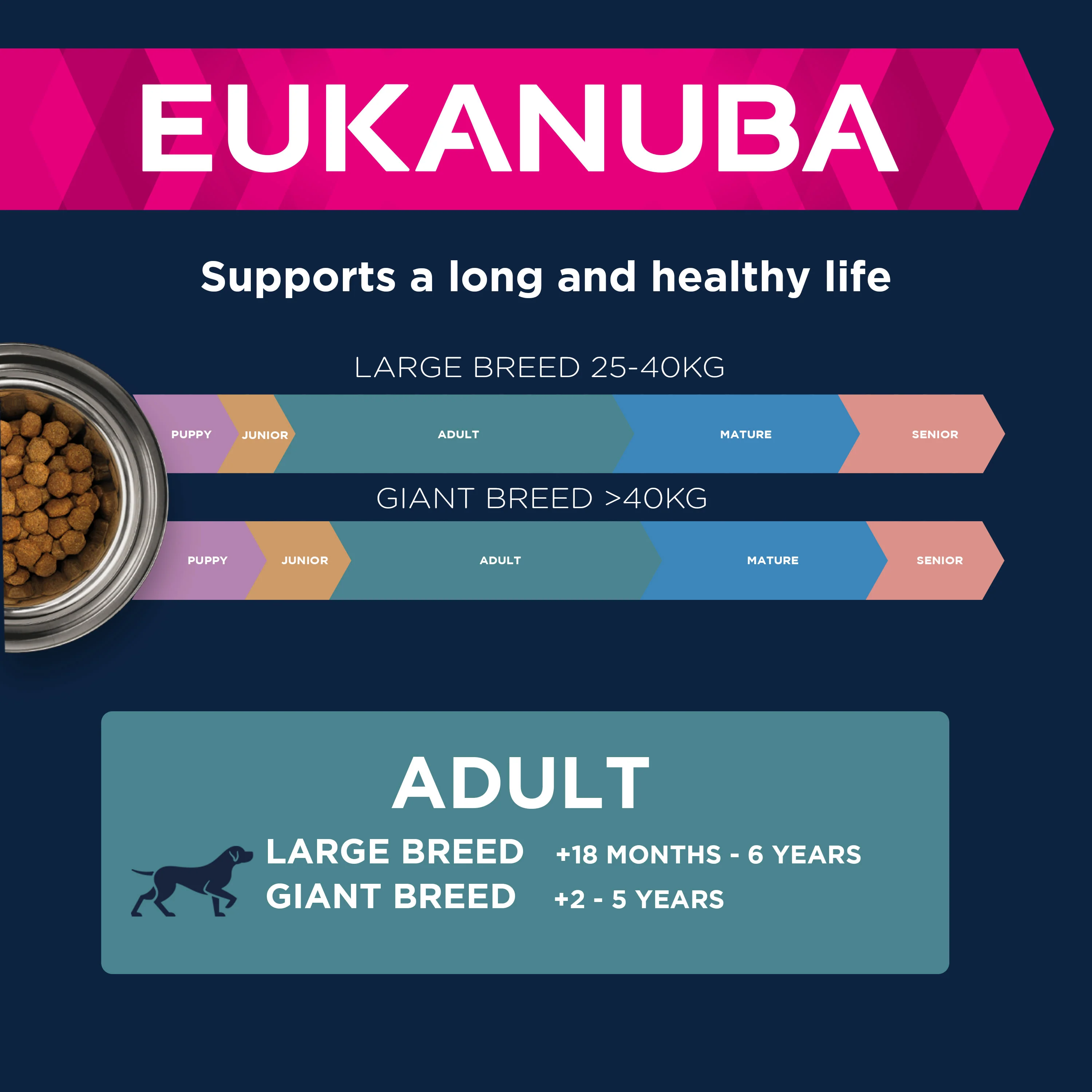 Eukanuba Large Breed Adult Dry Dog Food - Lamb & Rice - Image 3