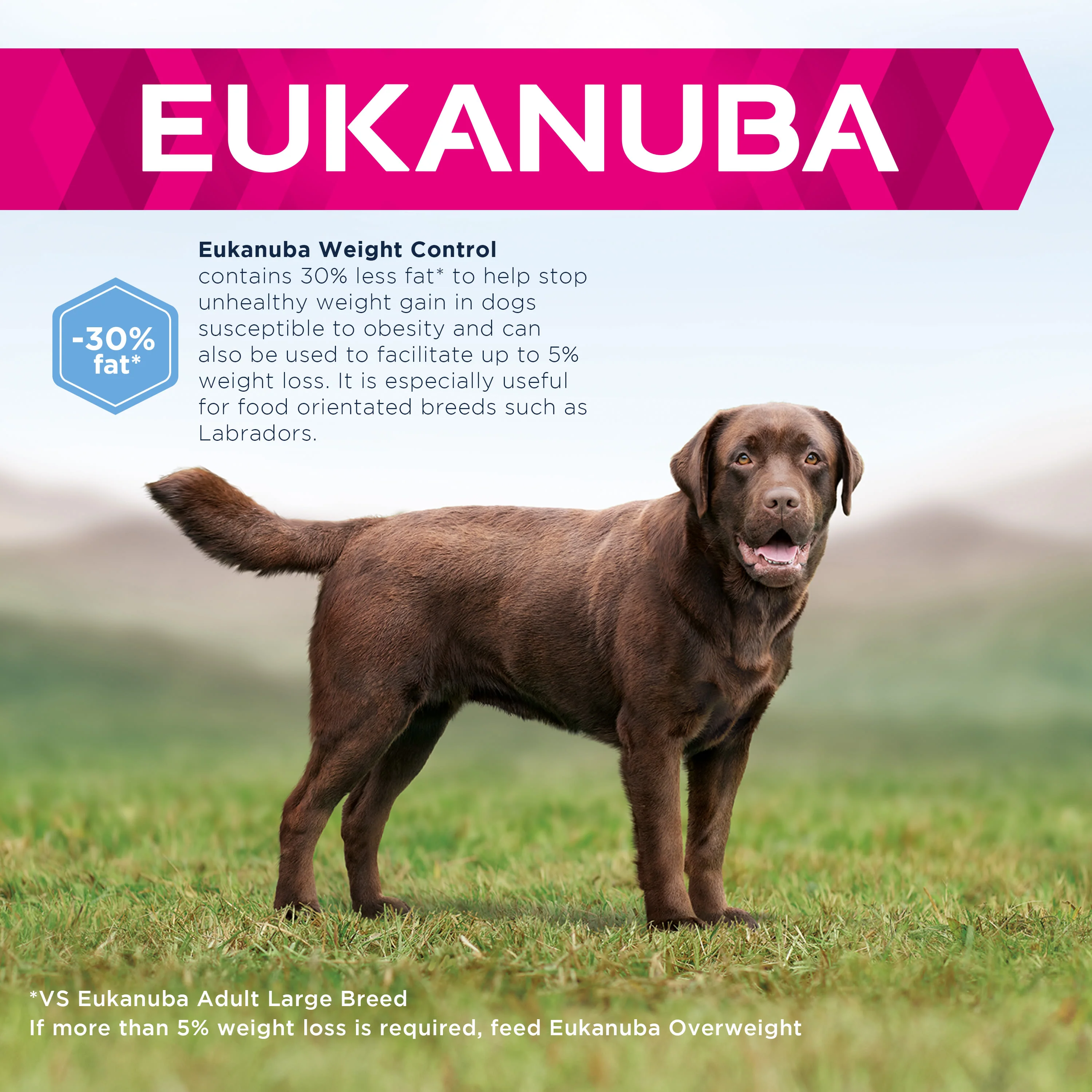 Eukanuba Weight Control Large Breed Adult Dry Dog Food - Chicken - Image 3